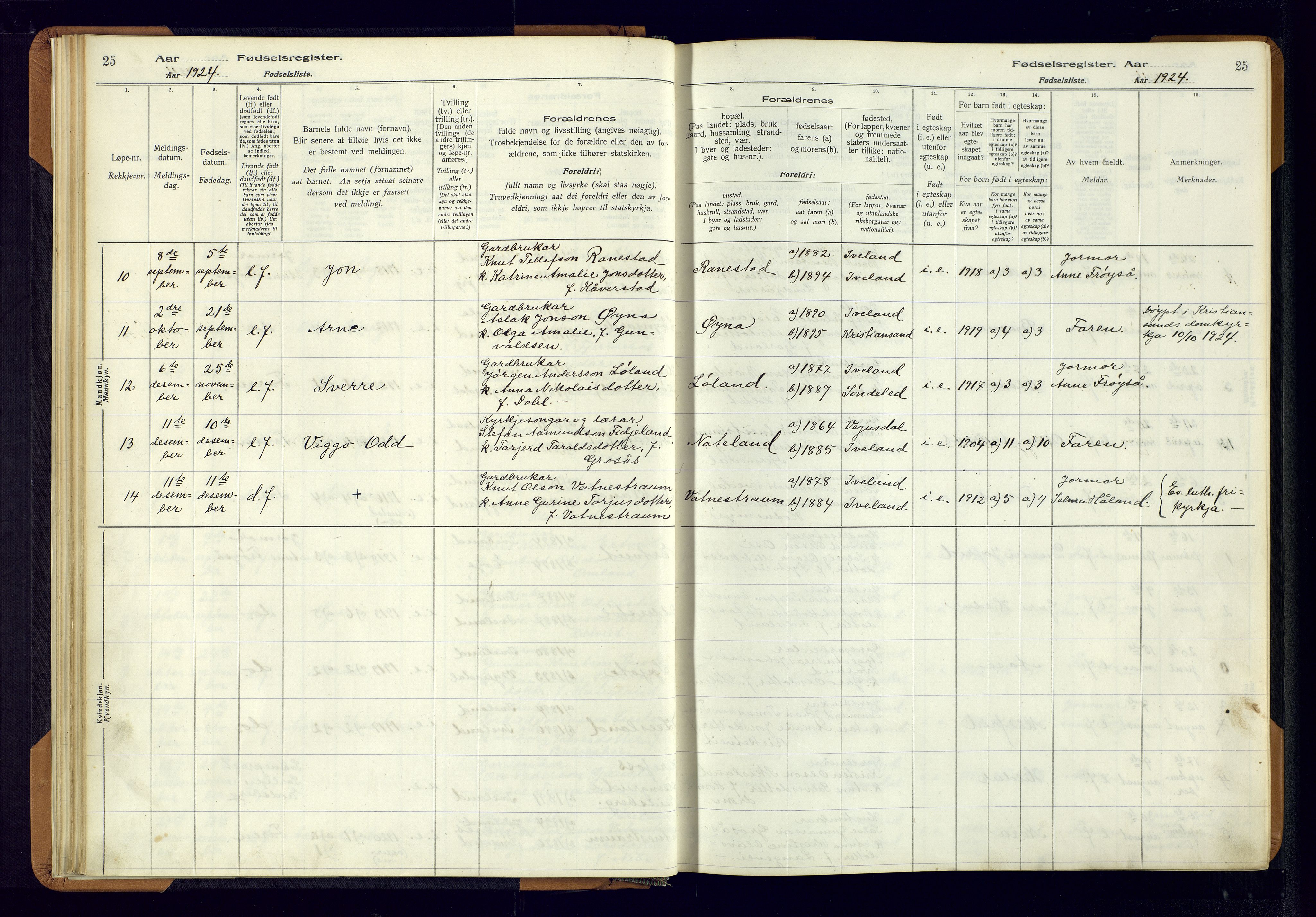 Evje sokneprestkontor, AV/SAK-1111-0008/J/Jc/L0003: Birth register no. II.4.3, 1916-1982, p. 25