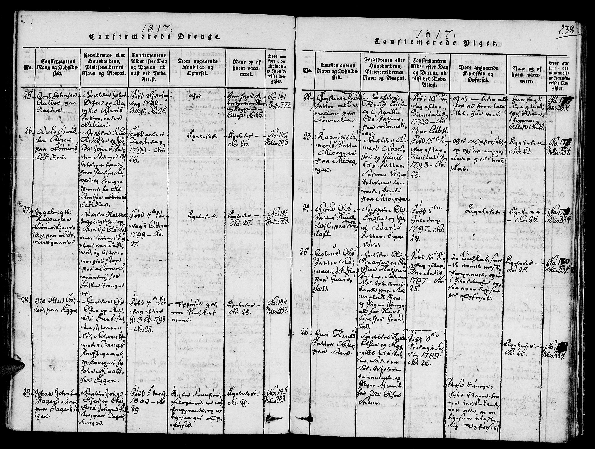 Ministerialprotokoller, klokkerbøker og fødselsregistre - Sør-Trøndelag, AV/SAT-A-1456/678/L0895: Parish register (official) no. 678A05 /1, 1816-1821, p. 238