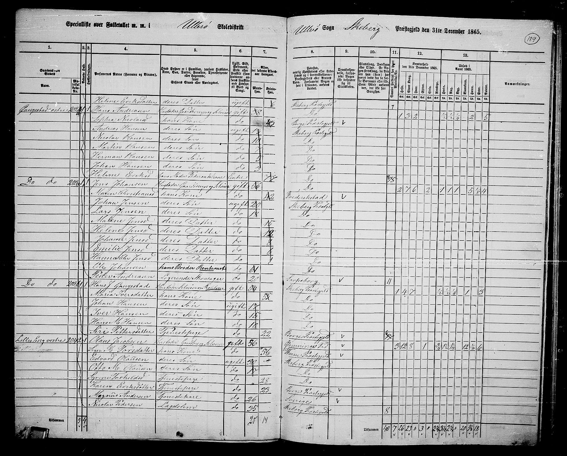 RA, 1865 census for Skjeberg, 1865, p. 172