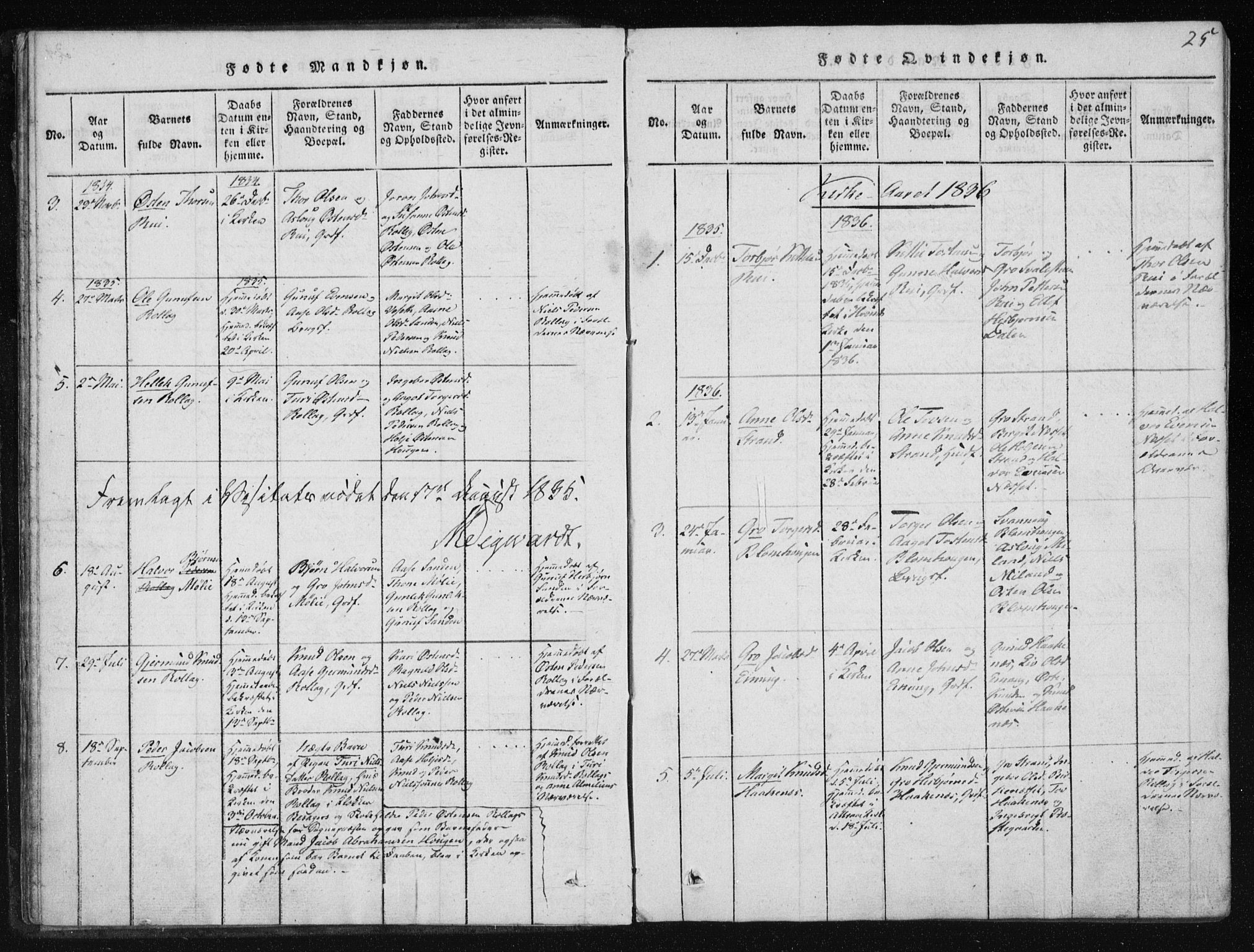 Tinn kirkebøker, SAKO/A-308/F/Fb/L0001: Parish register (official) no. II 1, 1815-1843, p. 25