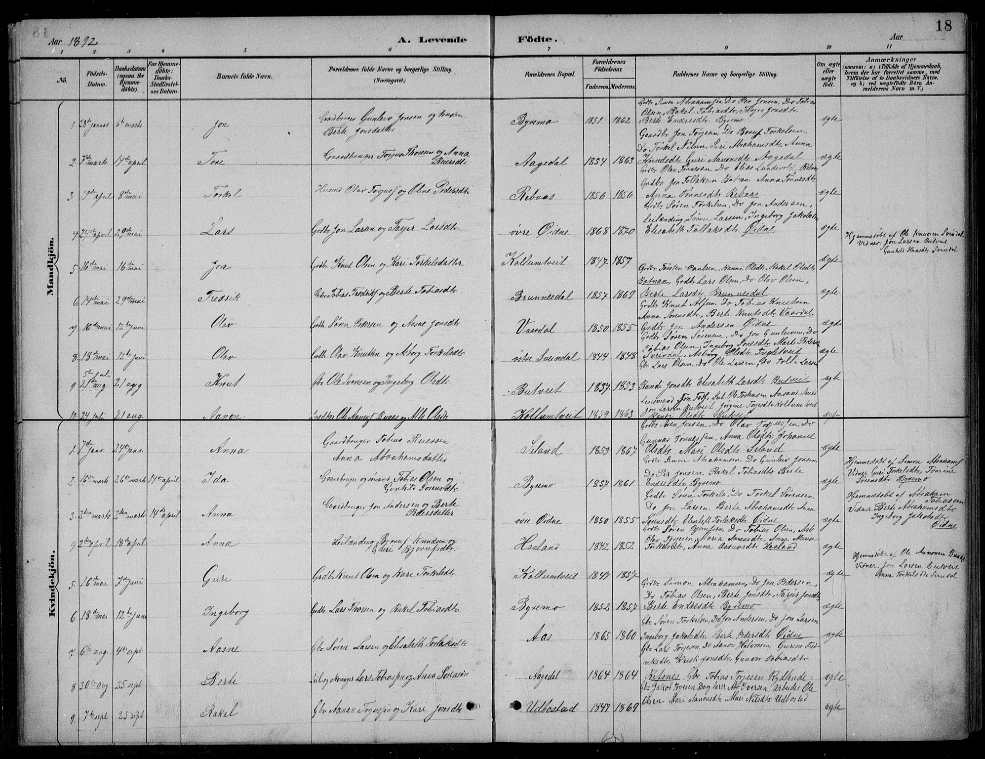 Bjelland sokneprestkontor, SAK/1111-0005/F/Fb/Fbc/L0003: Parish register (copy) no. B 3, 1887-1924, p. 18