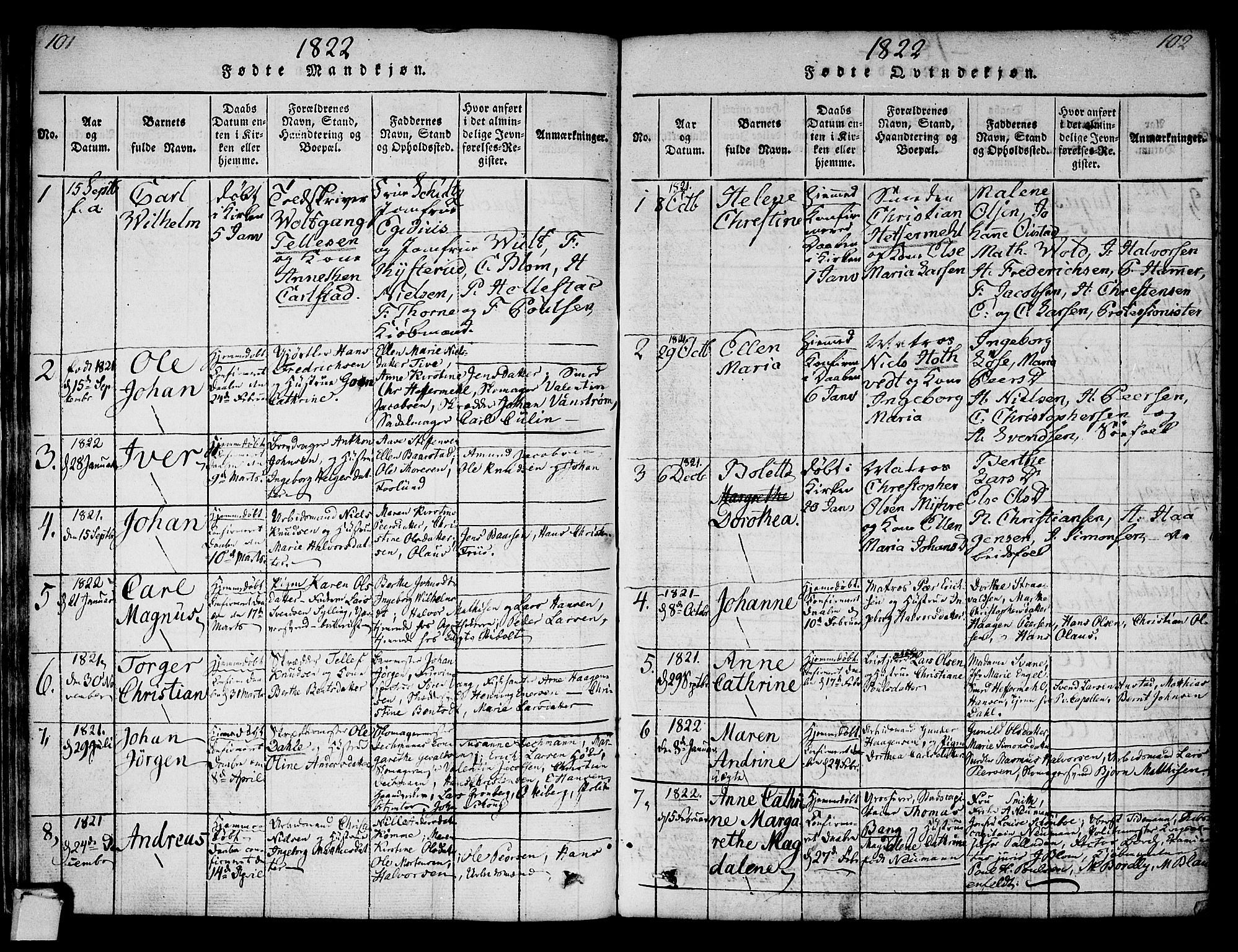 Strømsø kirkebøker, SAKO/A-246/F/Fa/L0011: Parish register (official) no. I 11, 1815-1829, p. 101-102