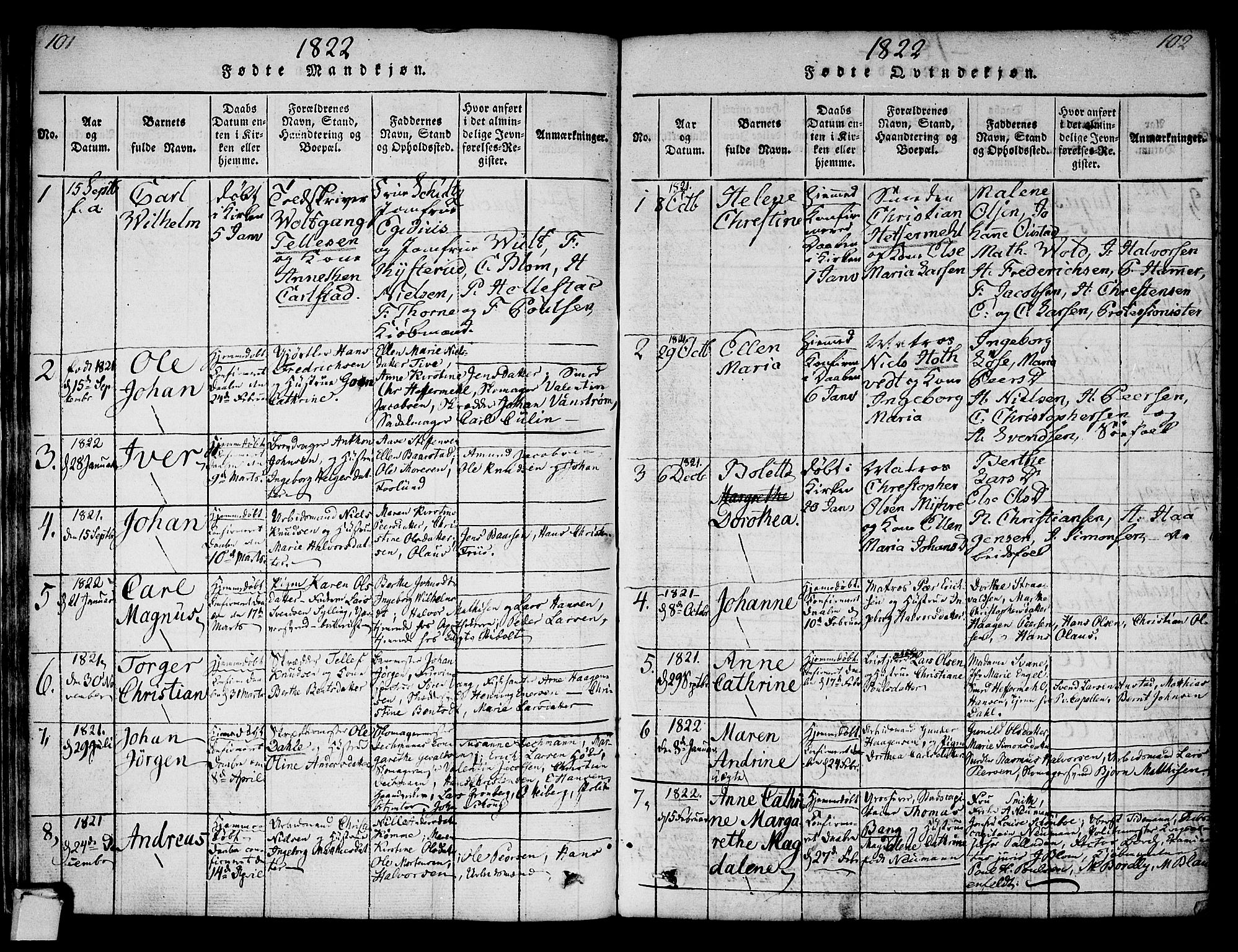 Strømsø kirkebøker, AV/SAKO-A-246/F/Fa/L0011: Parish register (official) no. I 11, 1815-1829, p. 101-102