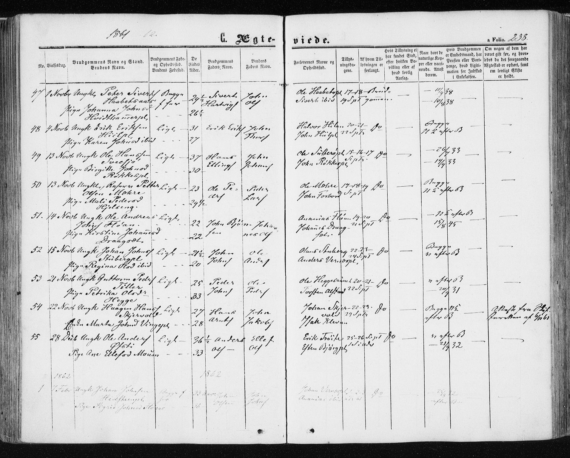 Ministerialprotokoller, klokkerbøker og fødselsregistre - Nord-Trøndelag, AV/SAT-A-1458/709/L0075: Parish register (official) no. 709A15, 1859-1870, p. 238