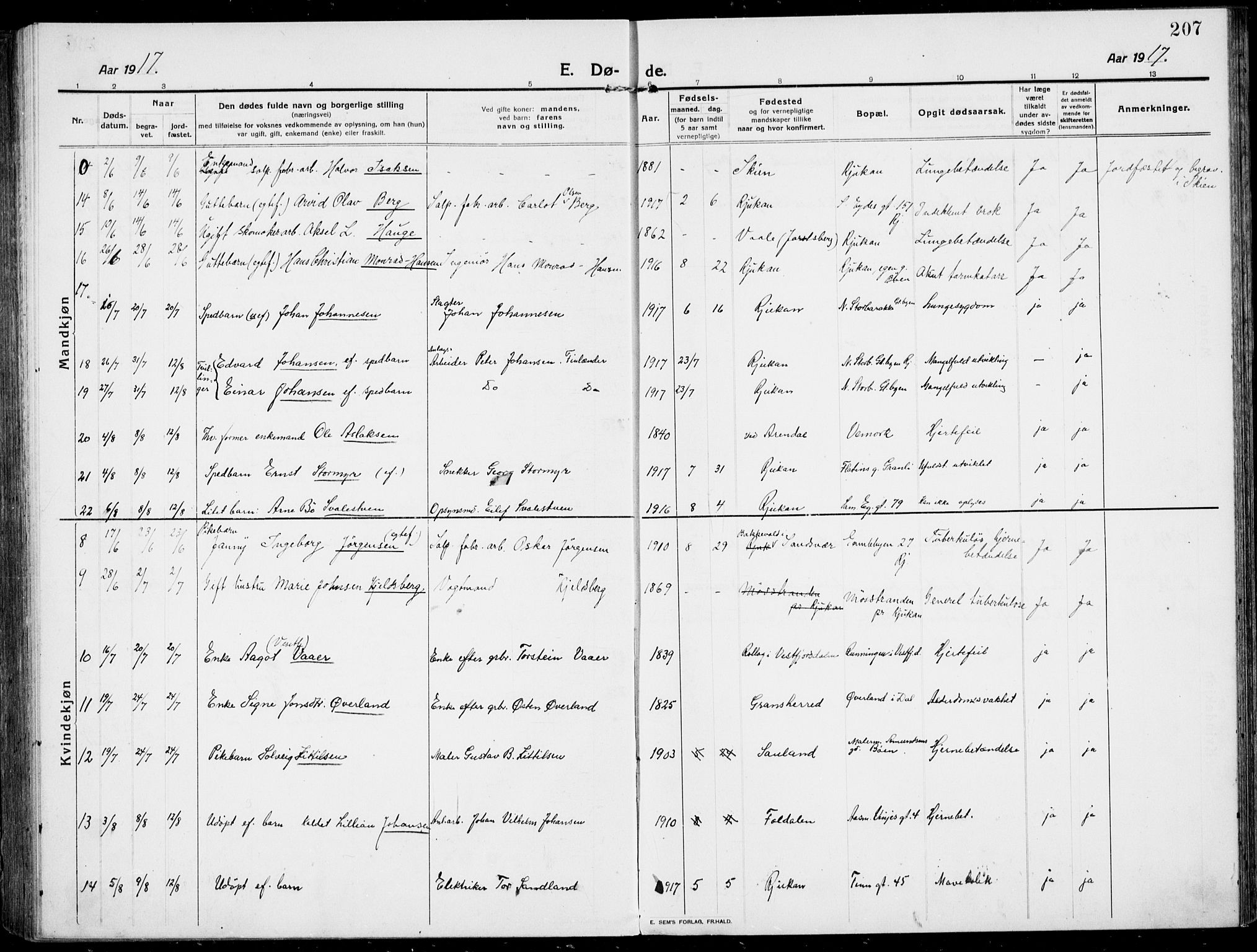 Rjukan kirkebøker, AV/SAKO-A-294/F/Fa/L0002: Parish register (official) no. 2, 1912-1917, p. 207