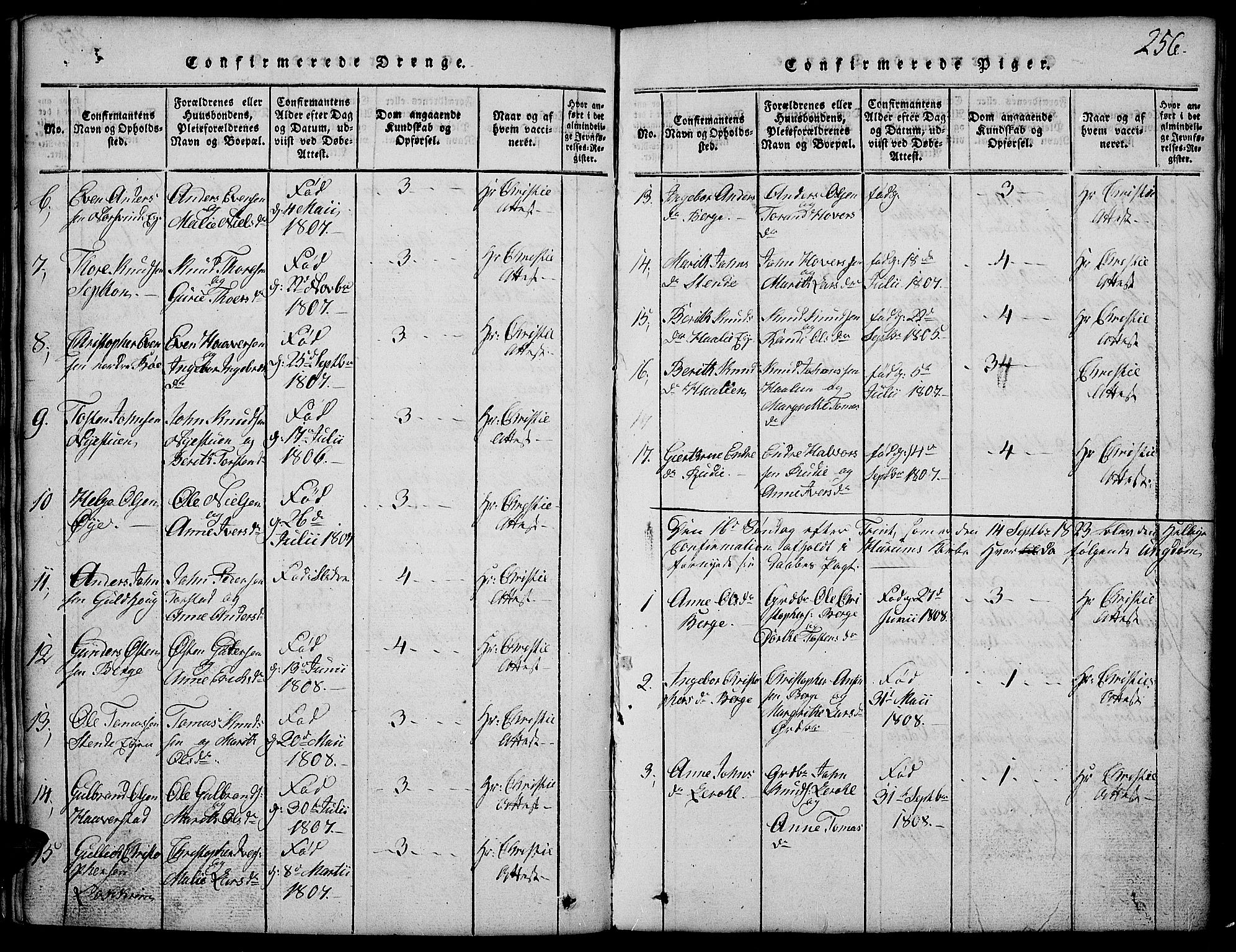 Vang prestekontor, Valdres, SAH/PREST-140/H/Hb/L0002: Parish register (copy) no. 2, 1814-1889, p. 256