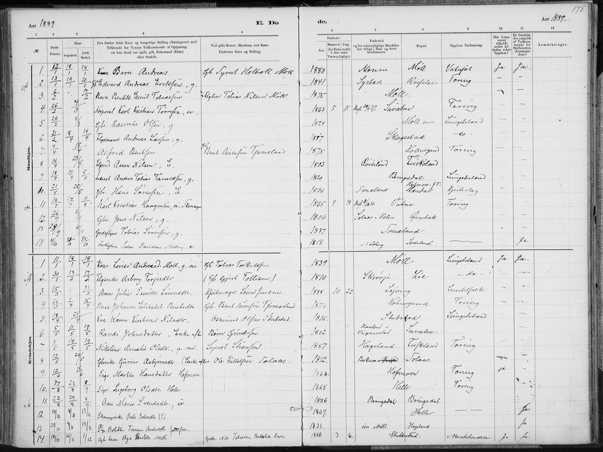 Holum sokneprestkontor, SAK/1111-0022/F/Fa/Faa/L0007: Parish register (official) no. A 7, 1884-1907, p. 175