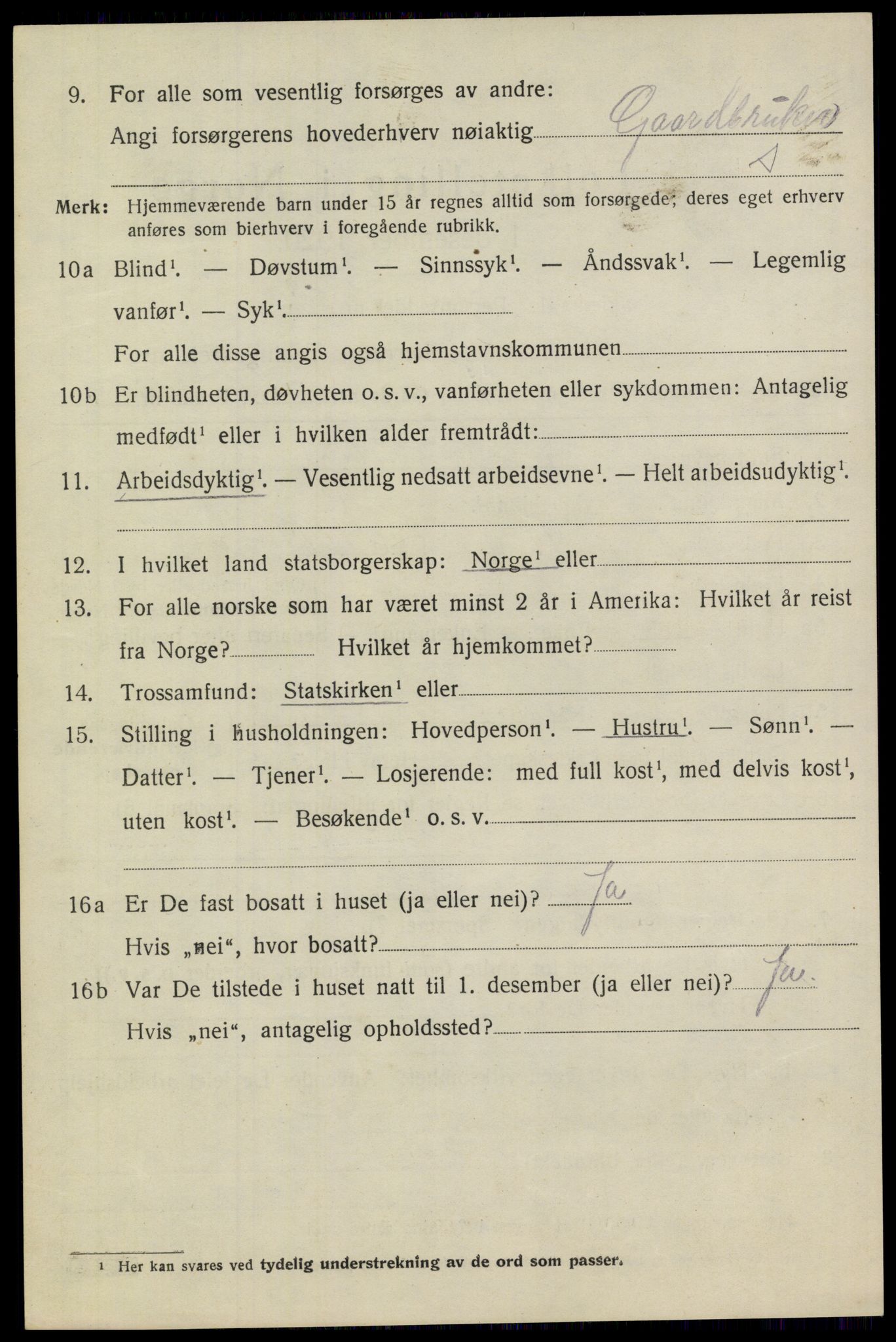 SAKO, 1920 census for Heddal, 1920, p. 5417