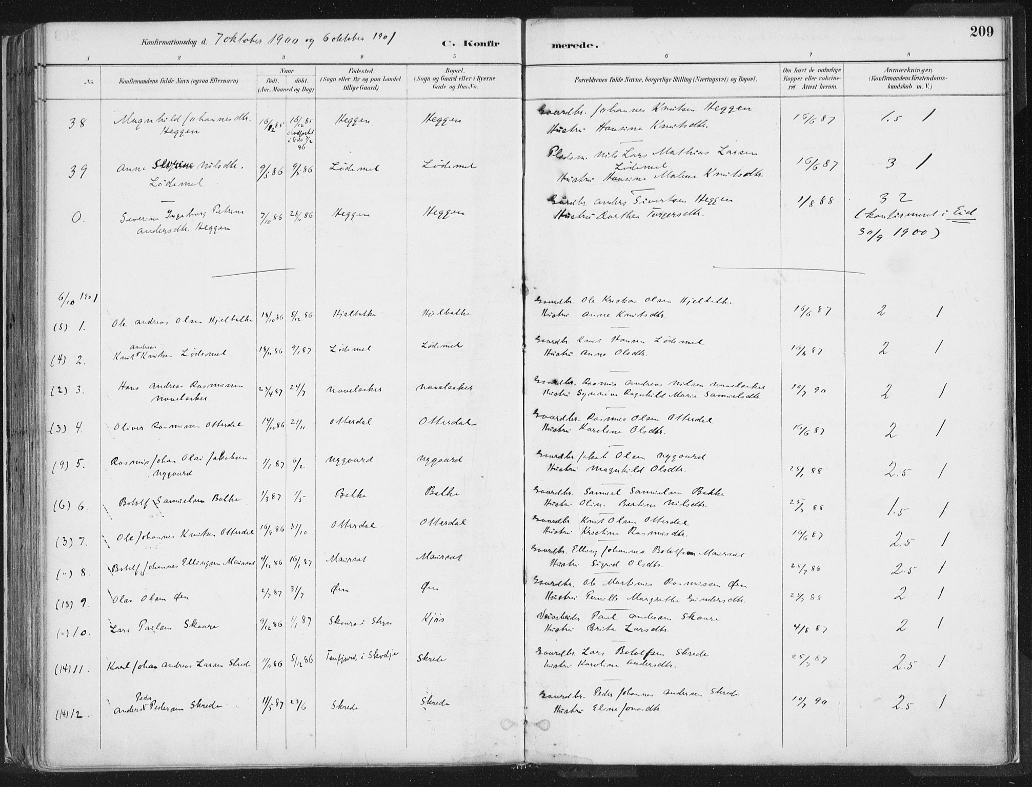 Hornindal sokneprestembete, AV/SAB-A-82401/H/Haa/Haaa/L0003/0001: Parish register (official) no. A 3A, 1887-1917, p. 209