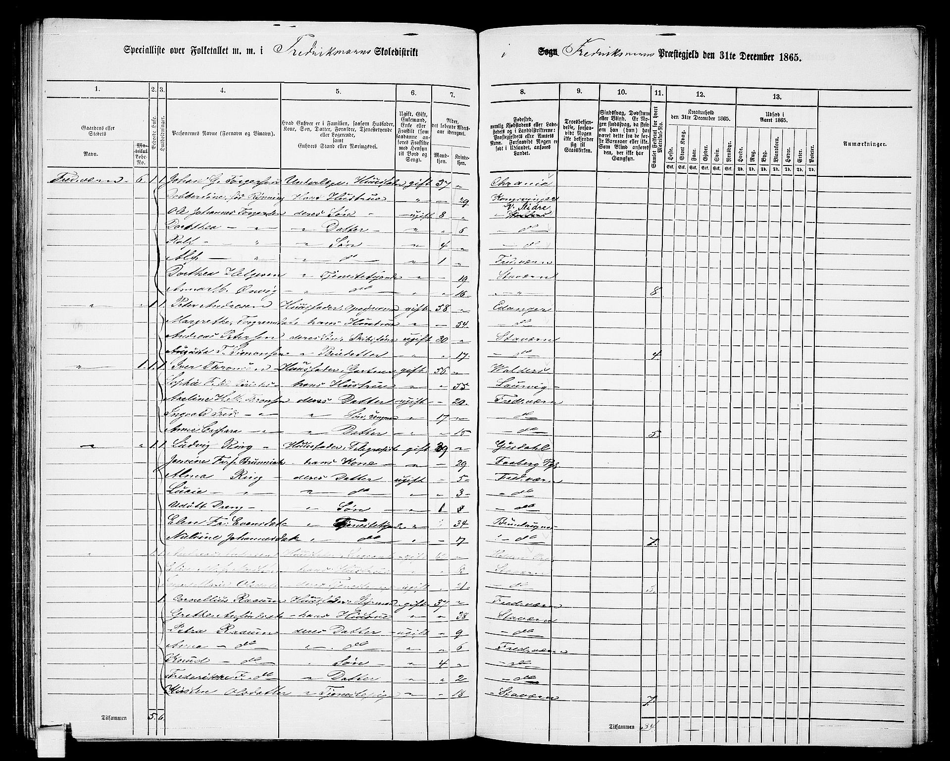 RA, 1865 census for Fredriksvern, 1865, p. 10
