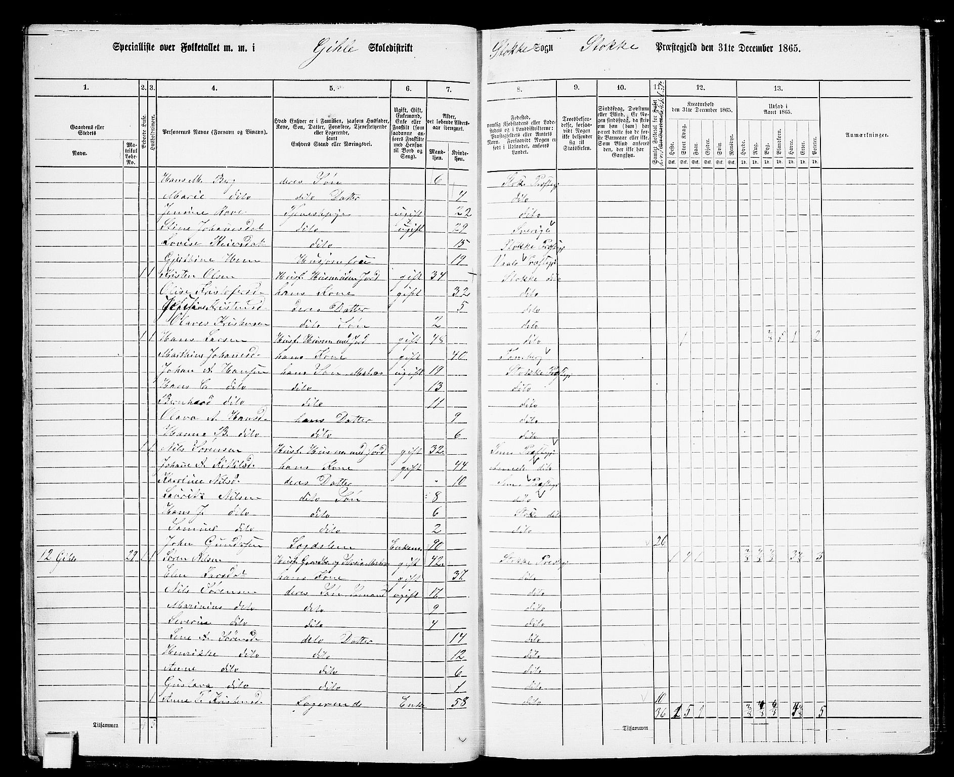 RA, 1865 census for Stokke, 1865, p. 25