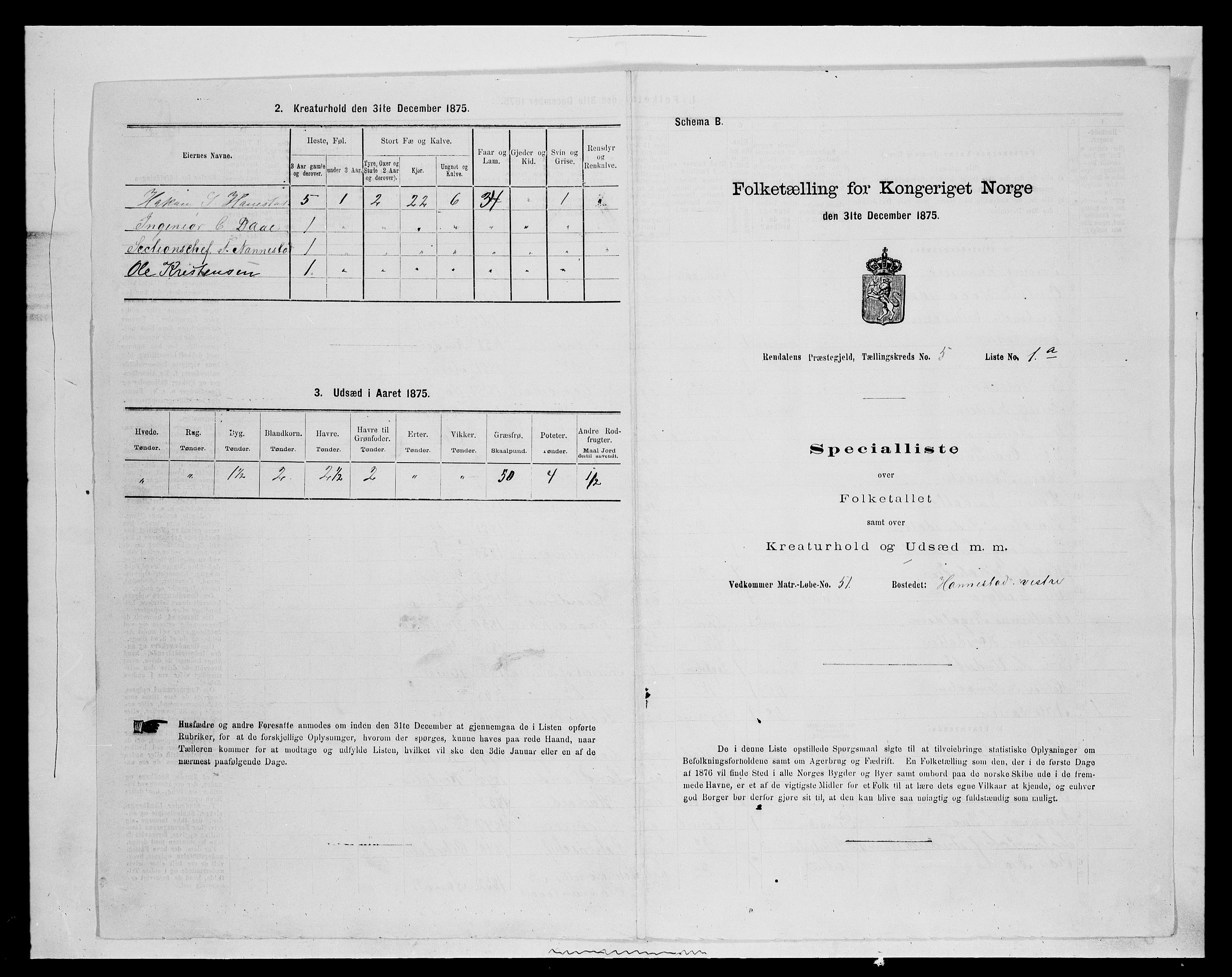 SAH, 1875 census for 0432P Rendalen, 1875, p. 446