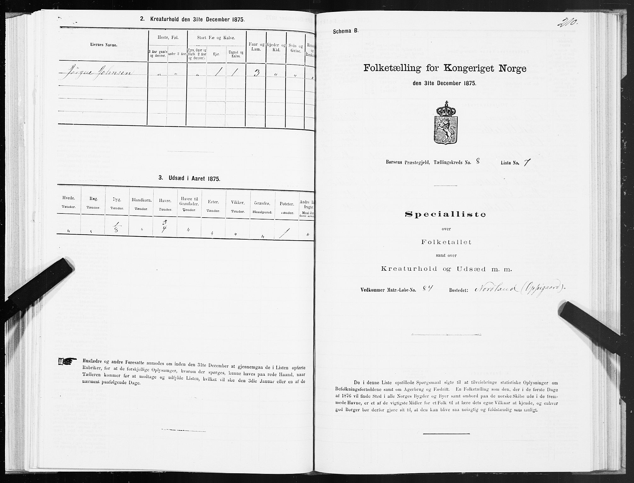 SAT, 1875 census for 1658P Børsa, 1875, p. 5210