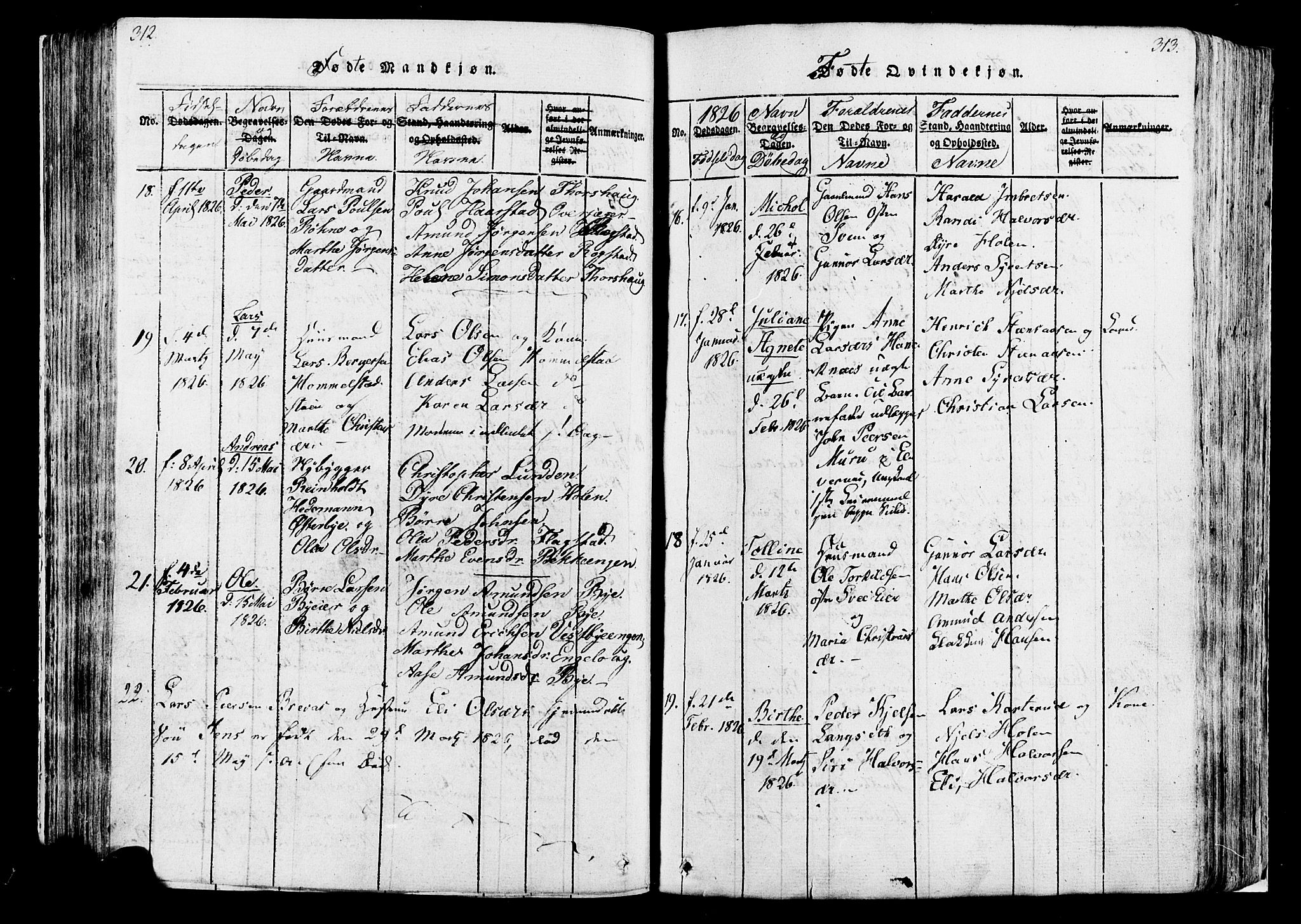 Løten prestekontor, AV/SAH-PREST-022/K/Ka/L0005: Parish register (official) no. 5, 1814-1832, p. 312-313