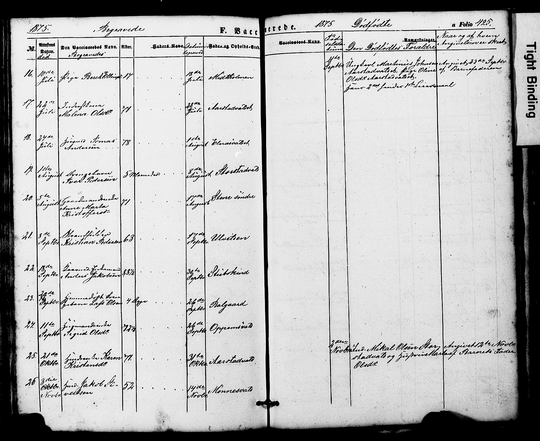 Ministerialprotokoller, klokkerbøker og fødselsregistre - Nord-Trøndelag, AV/SAT-A-1458/724/L0268: Parish register (copy) no. 724C04, 1846-1878, p. 425