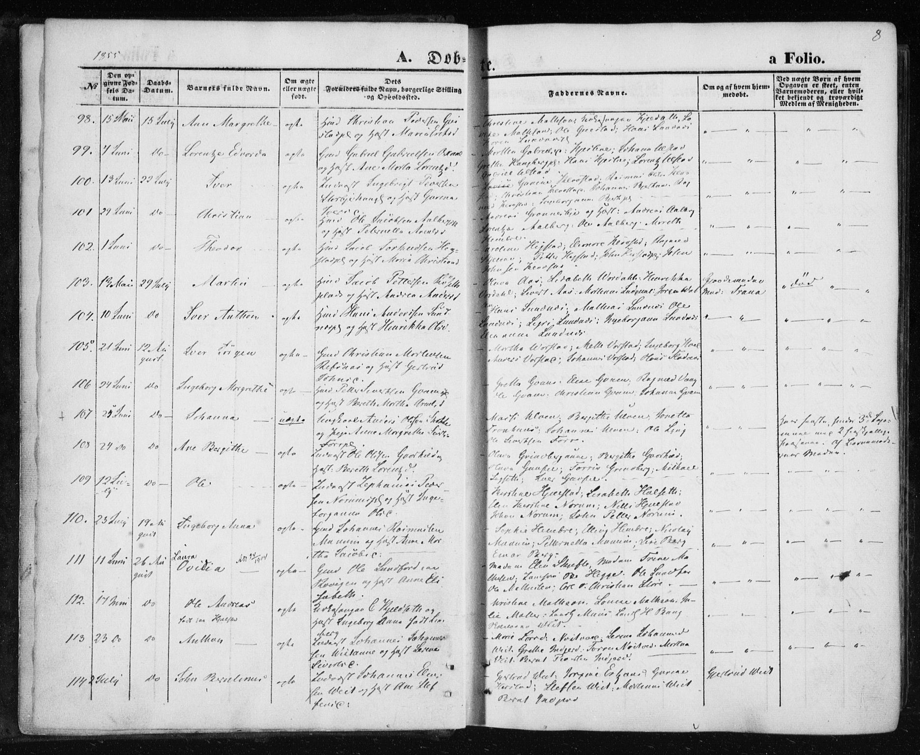 Ministerialprotokoller, klokkerbøker og fødselsregistre - Nord-Trøndelag, AV/SAT-A-1458/730/L0283: Parish register (official) no. 730A08, 1855-1865, p. 8