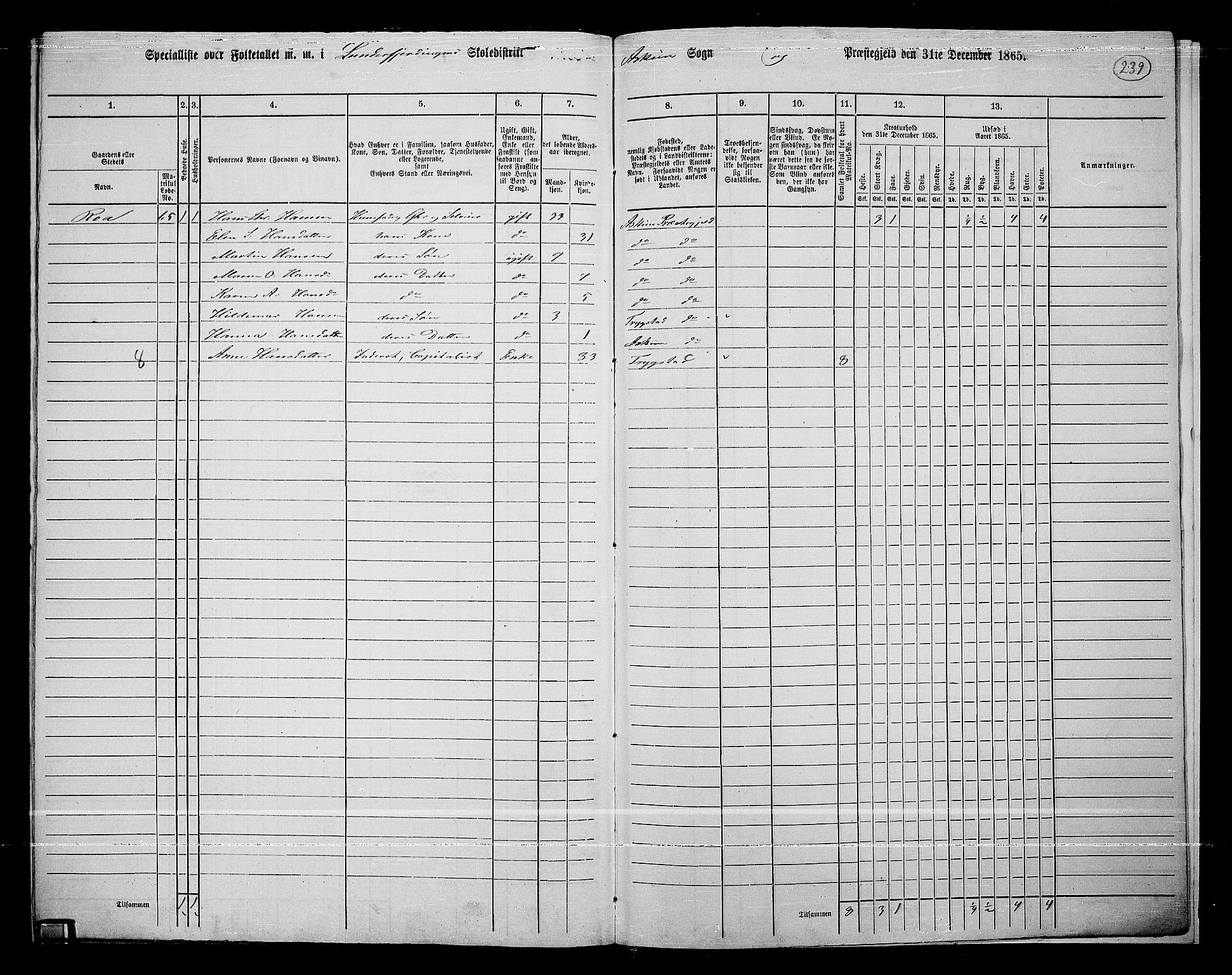 RA, 1865 census for Askim, 1865, p. 96