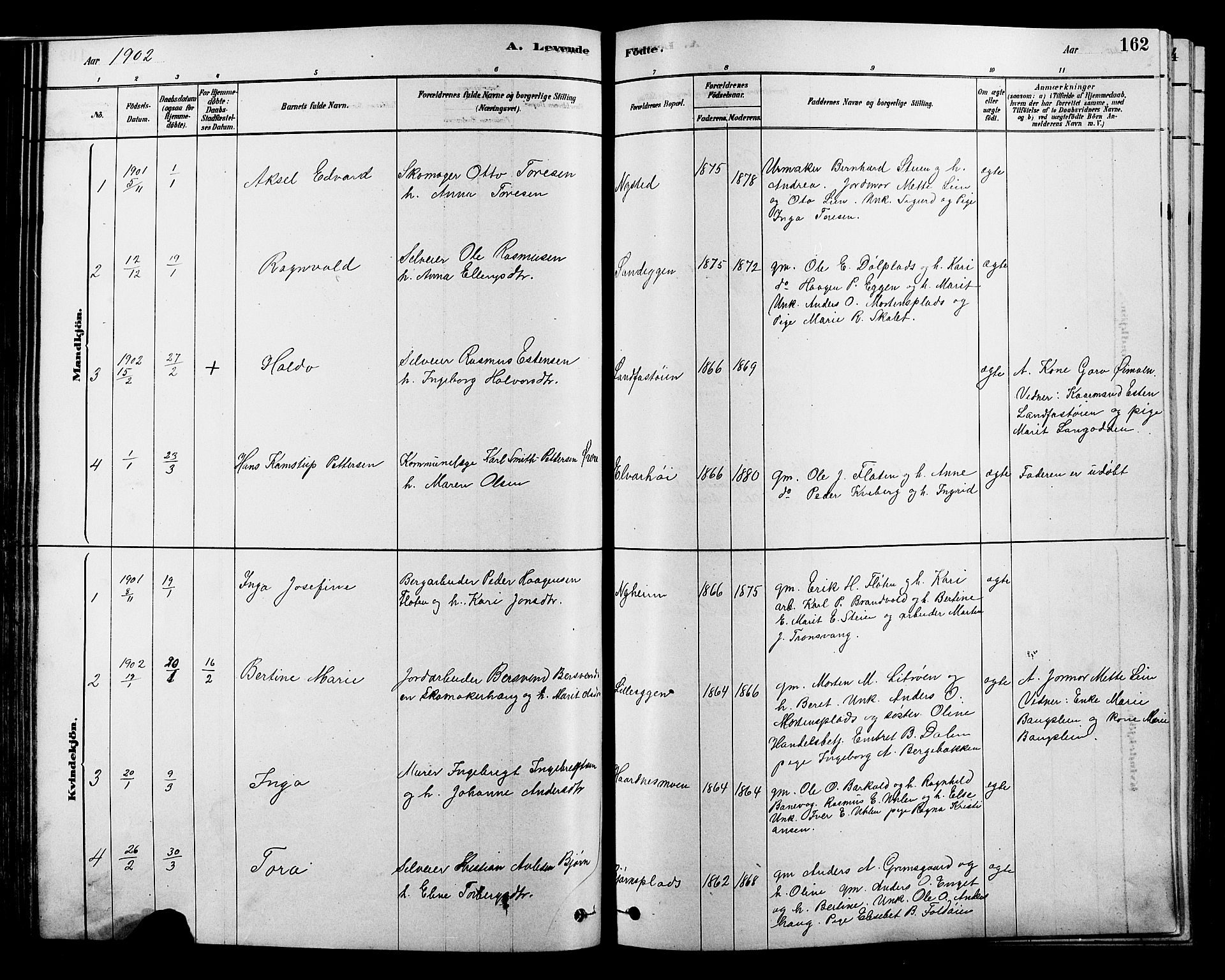 Alvdal prestekontor, SAH/PREST-060/H/Ha/Hab/L0003: Parish register (copy) no. 3, 1878-1907, p. 162