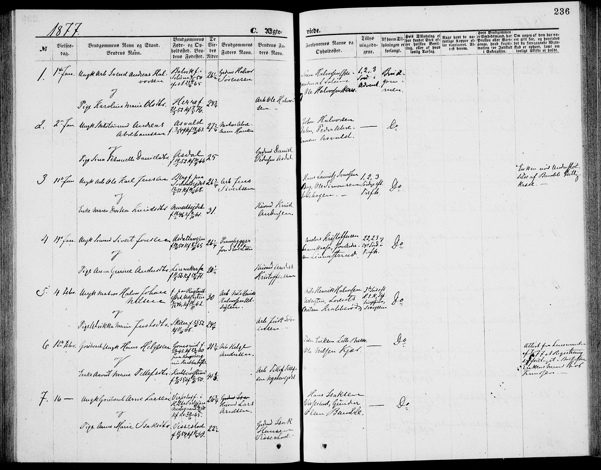 Bamble kirkebøker, AV/SAKO-A-253/G/Ga/L0007: Parish register (copy) no. I 7, 1876-1877, p. 236