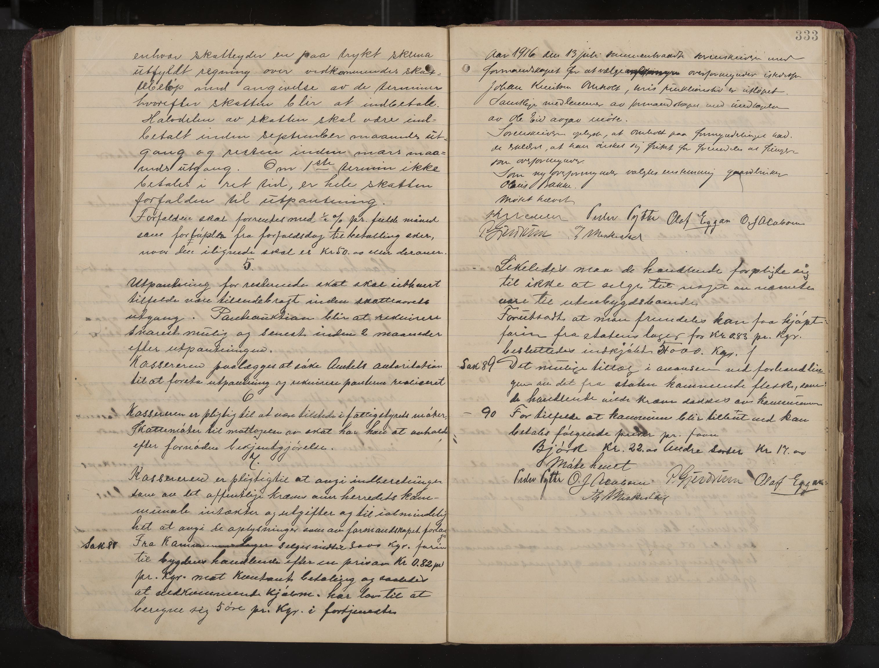 Ytre Sandsvær formannskap og sentraladministrasjon, IKAK/0629021/A/Aa/L0001: Møtebok med register, 1902-1919, p. 333