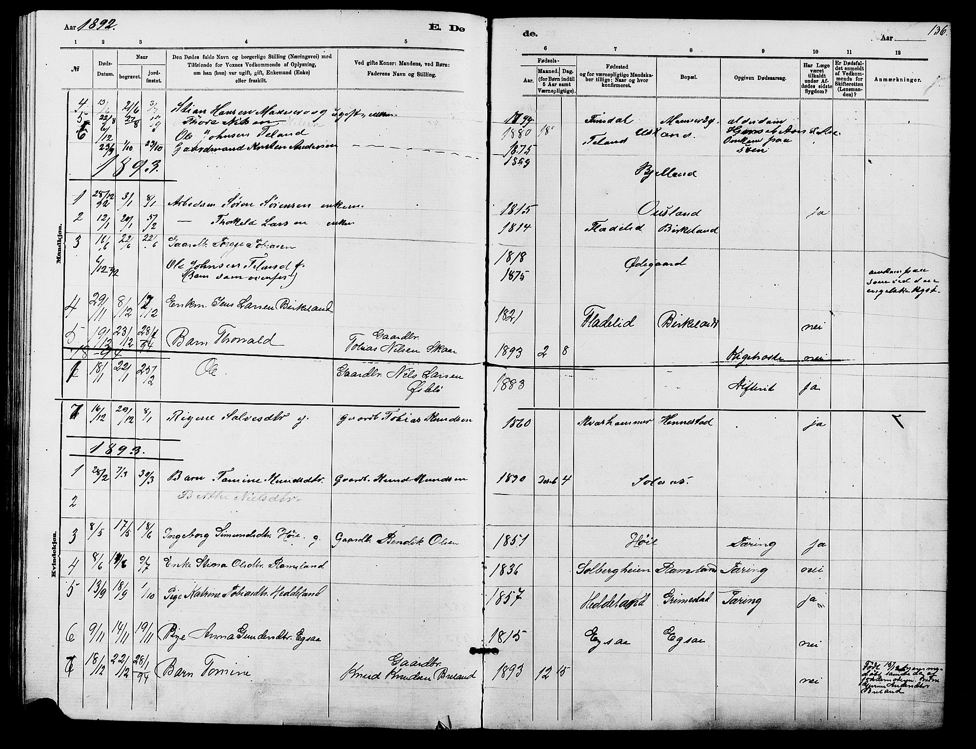 Holum sokneprestkontor, SAK/1111-0022/F/Fb/Fbc/L0003: Parish register (copy) no. B 3, 1882-1908, p. 136