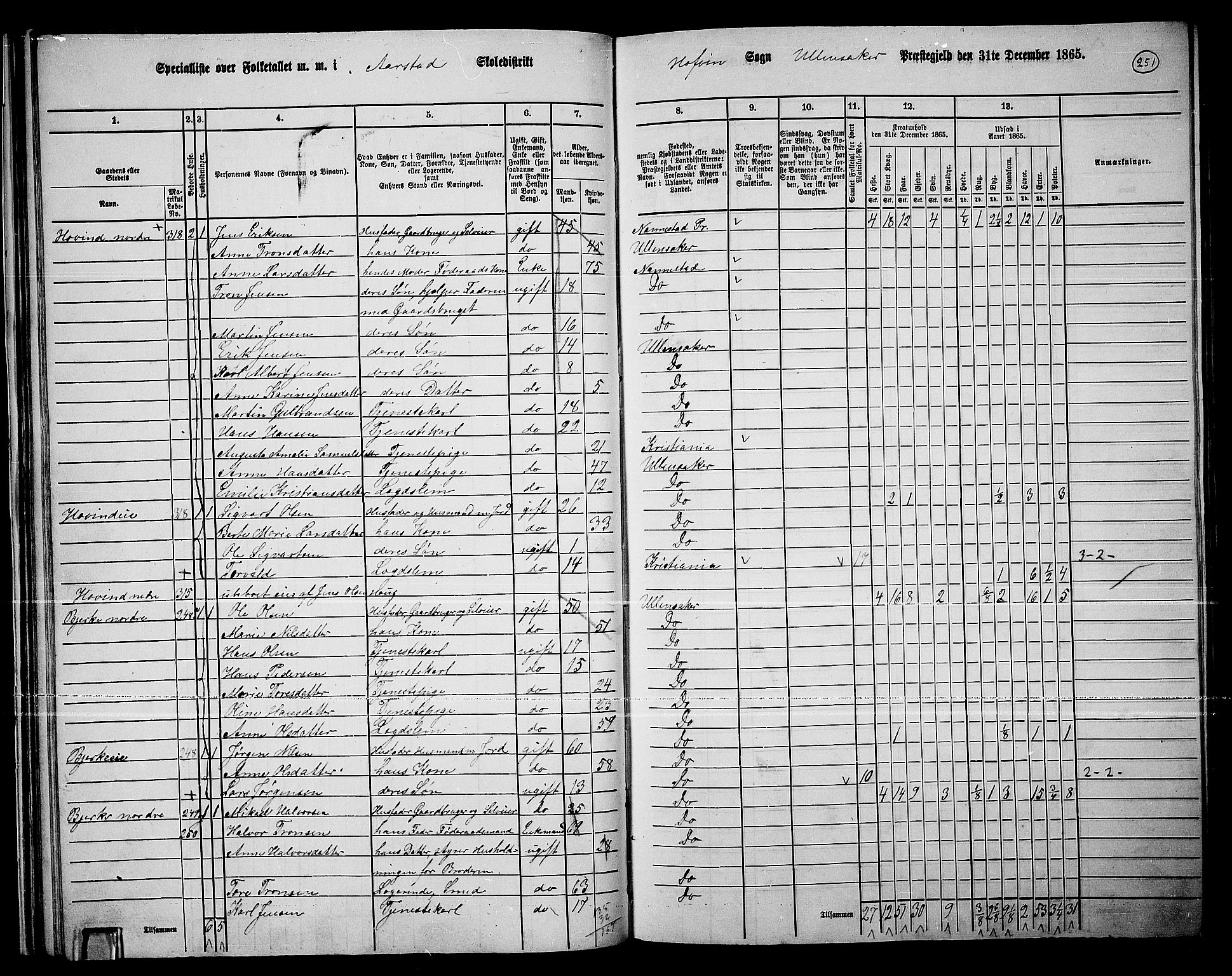 RA, 1865 census for Ullensaker, 1865, p. 223