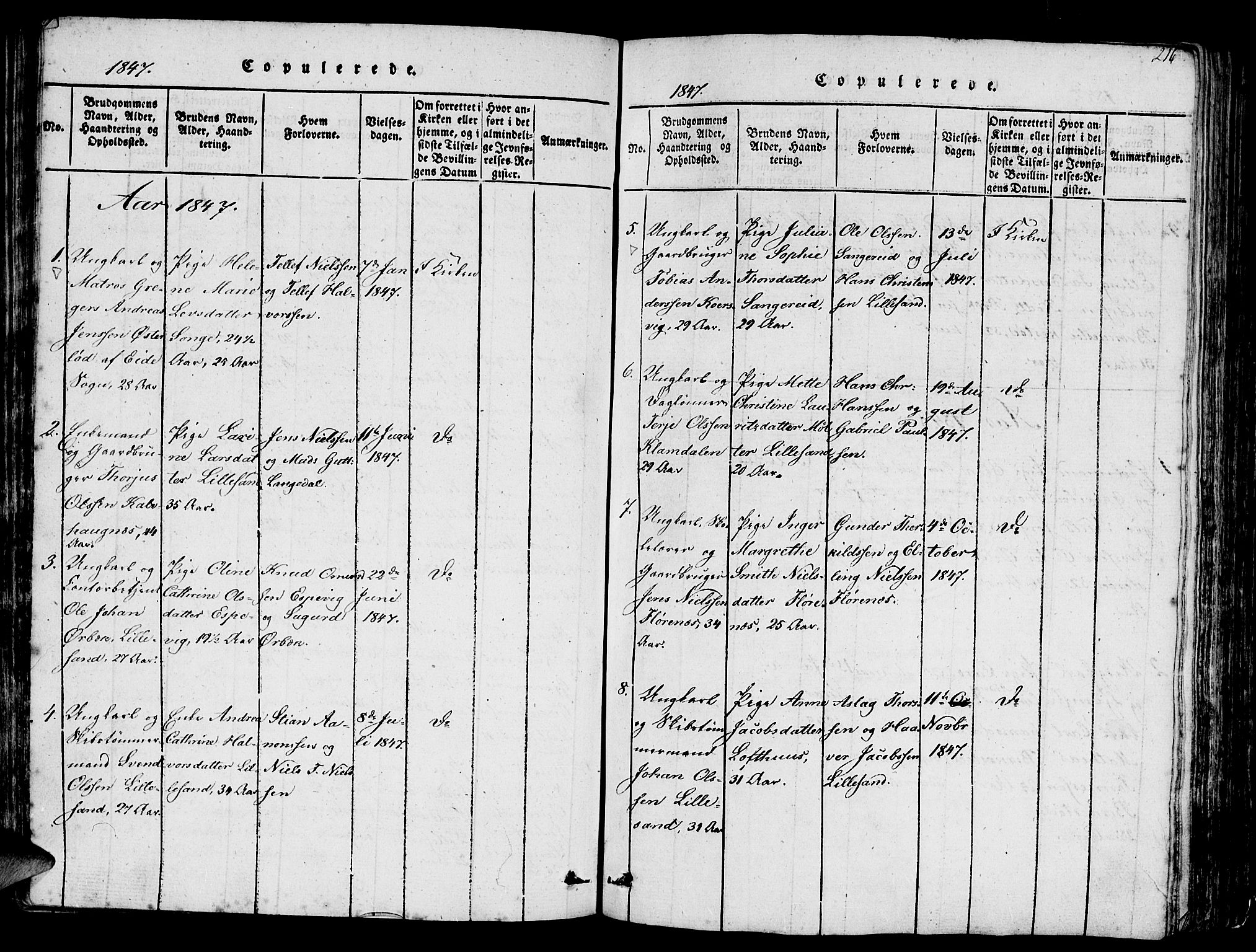 Vestre Moland sokneprestkontor, SAK/1111-0046/F/Fb/Fbb/L0001: Parish register (copy) no. B 1, 1816-1851, p. 216