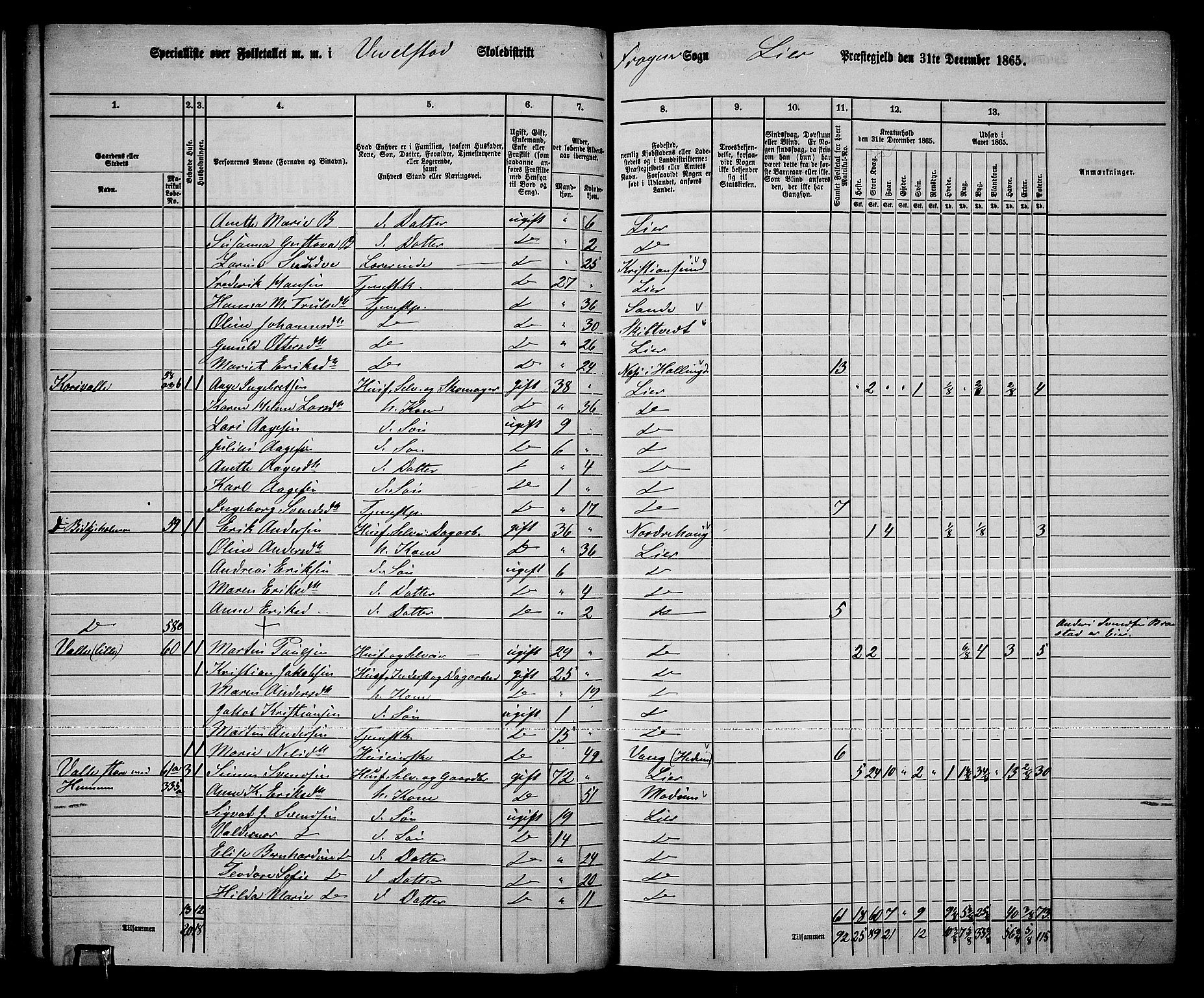 RA, 1865 census for Lier, 1865, p. 43