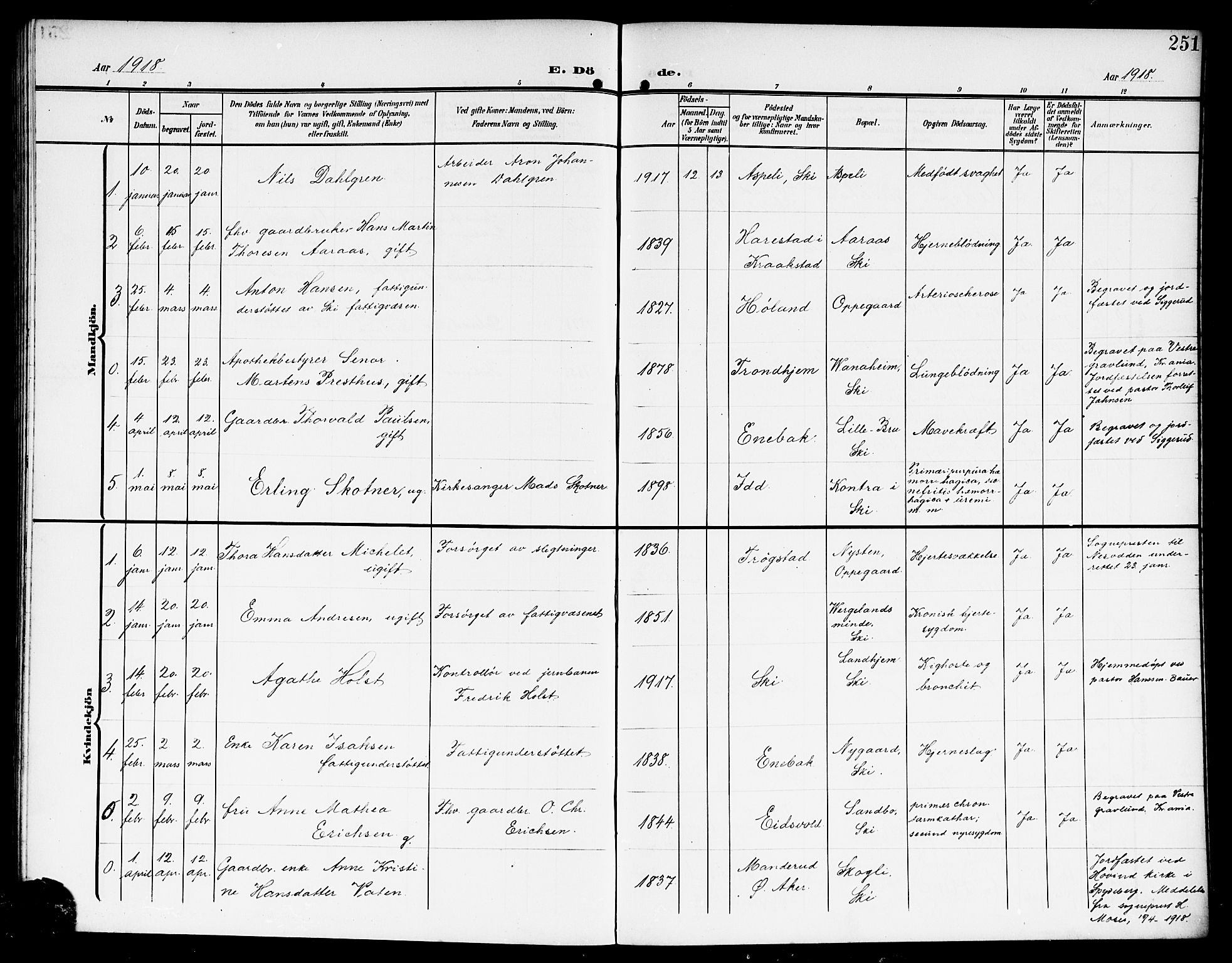 Kråkstad prestekontor Kirkebøker, SAO/A-10125a/G/Gb/L0001: Parish register (copy) no. II 1, 1905-1920, p. 251