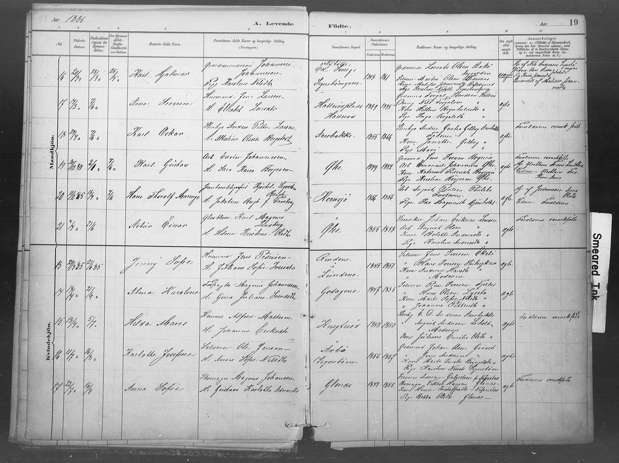 Idd prestekontor Kirkebøker, AV/SAO-A-10911/F/Fb/L0002: Parish register (official) no. II 2, 1882-1923, p. 19