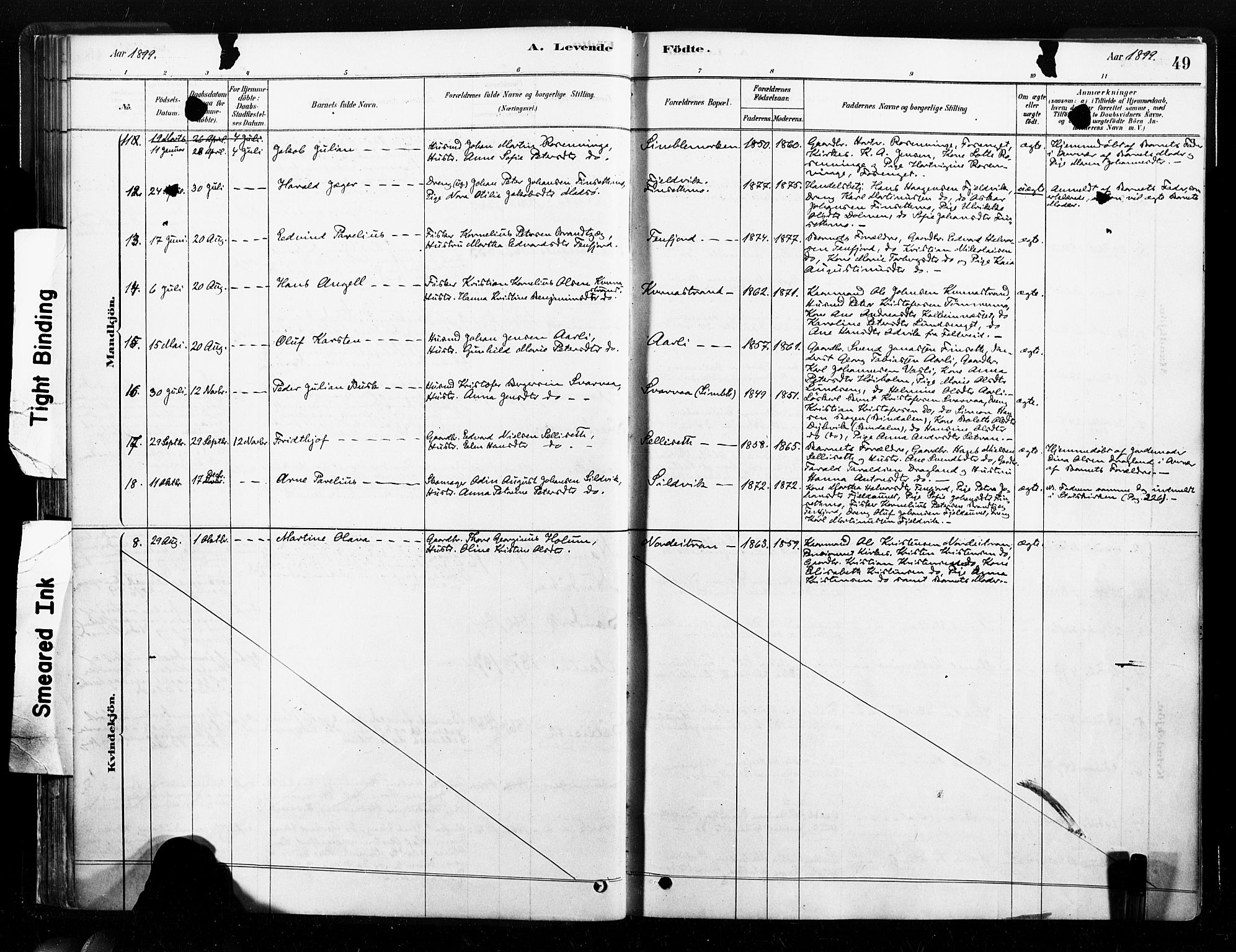 Ministerialprotokoller, klokkerbøker og fødselsregistre - Nord-Trøndelag, SAT/A-1458/789/L0705: Parish register (official) no. 789A01, 1878-1910, p. 49