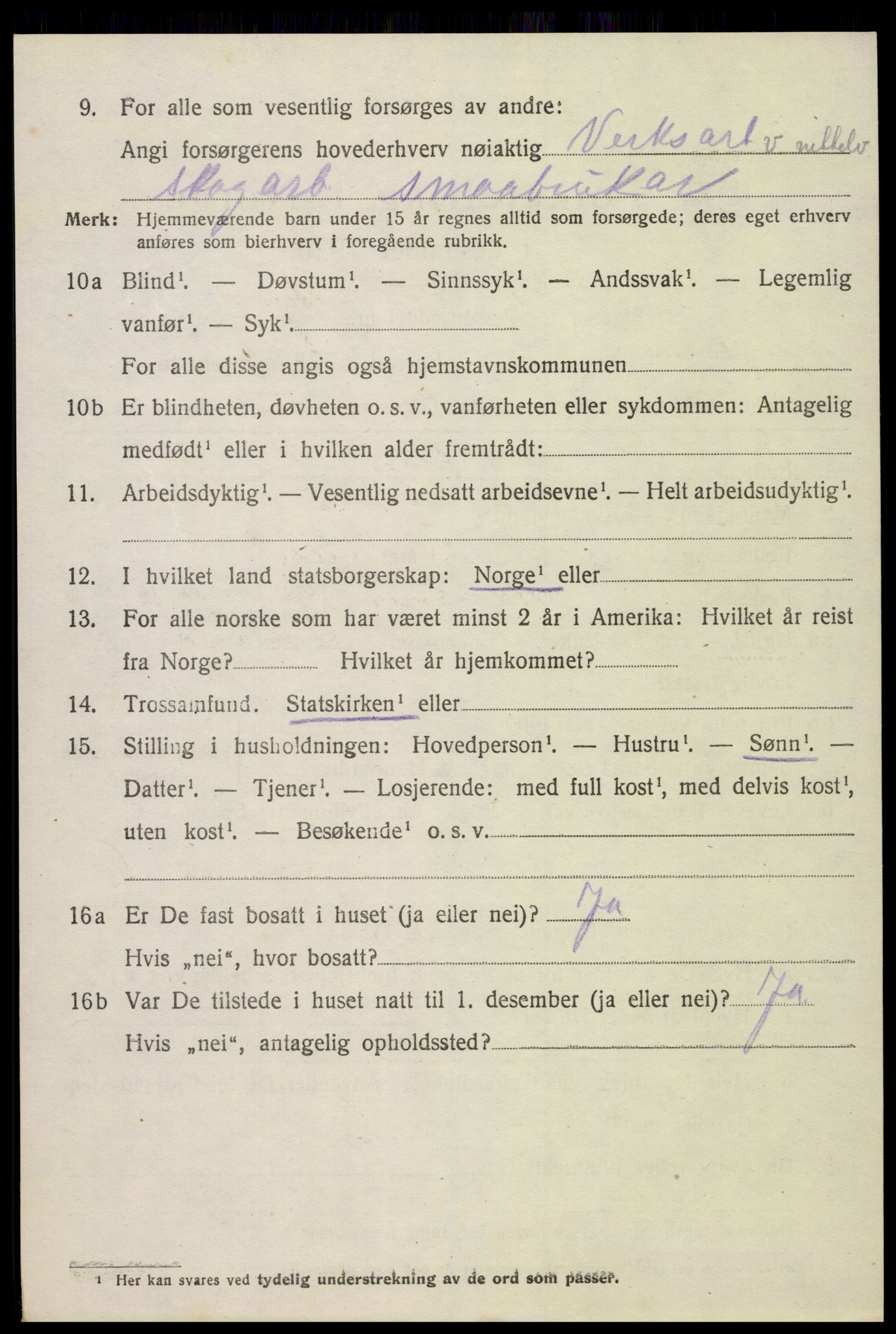 SAK, 1920 census for Hornnes, 1920, p. 890