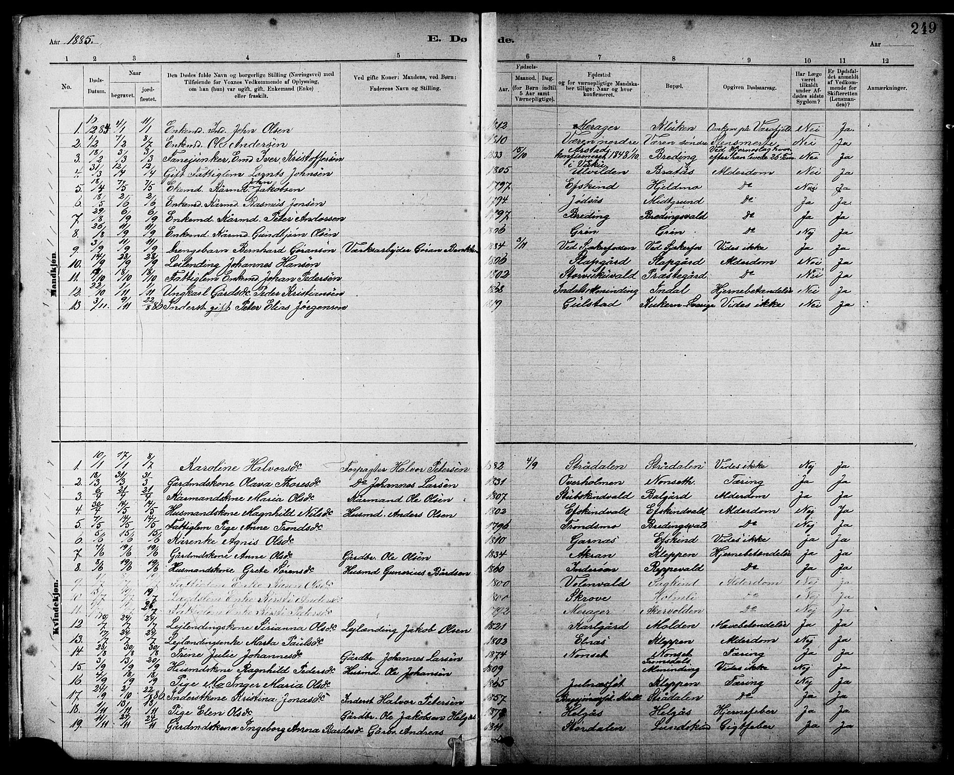 Ministerialprotokoller, klokkerbøker og fødselsregistre - Nord-Trøndelag, SAT/A-1458/724/L0267: Parish register (copy) no. 724C03, 1879-1898, p. 249