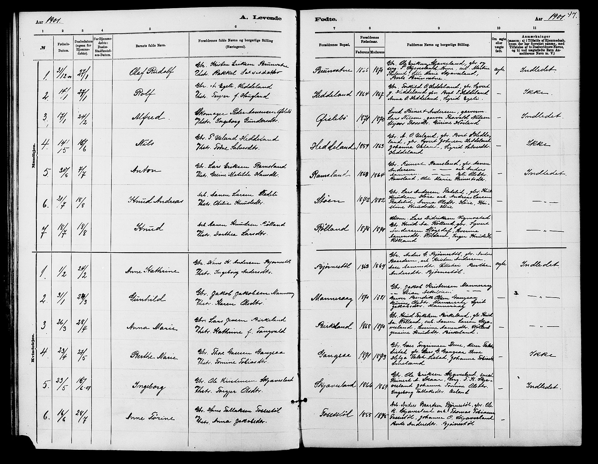 Holum sokneprestkontor, AV/SAK-1111-0022/F/Fb/Fbc/L0003: Parish register (copy) no. B 3, 1882-1908, p. 47