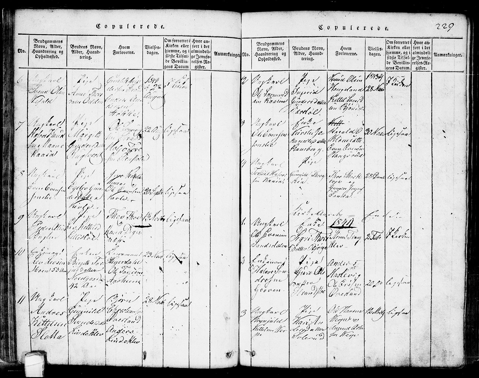 Seljord kirkebøker, SAKO/A-20/G/Ga/L0001: Parish register (copy) no. I 1, 1815-1854, p. 229