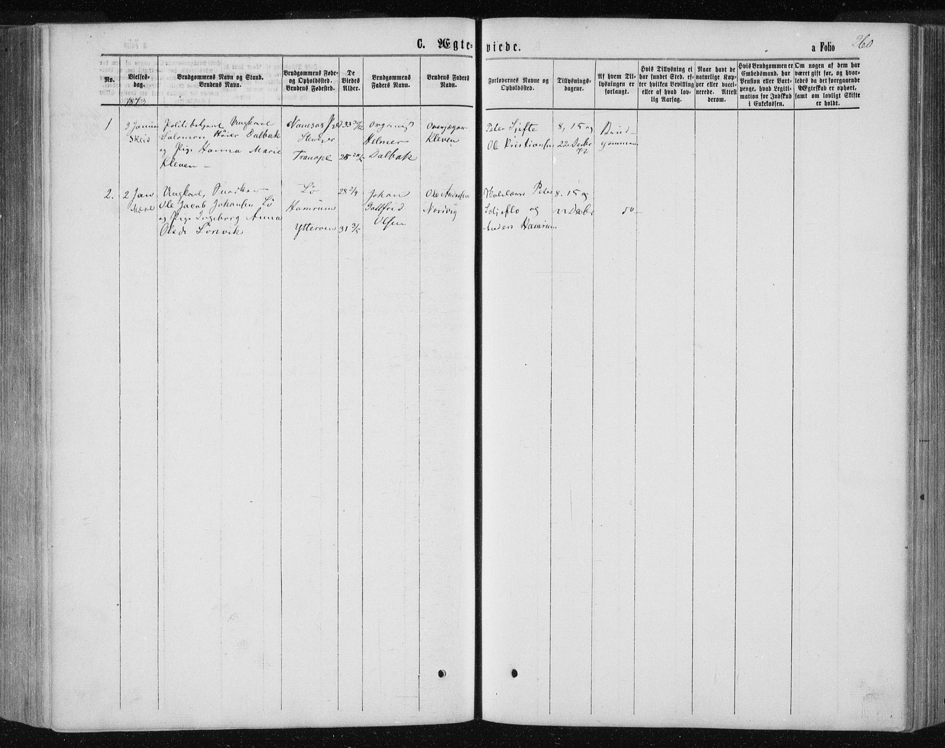 Ministerialprotokoller, klokkerbøker og fødselsregistre - Nord-Trøndelag, AV/SAT-A-1458/735/L0345: Parish register (official) no. 735A08 /1, 1863-1872, p. 260