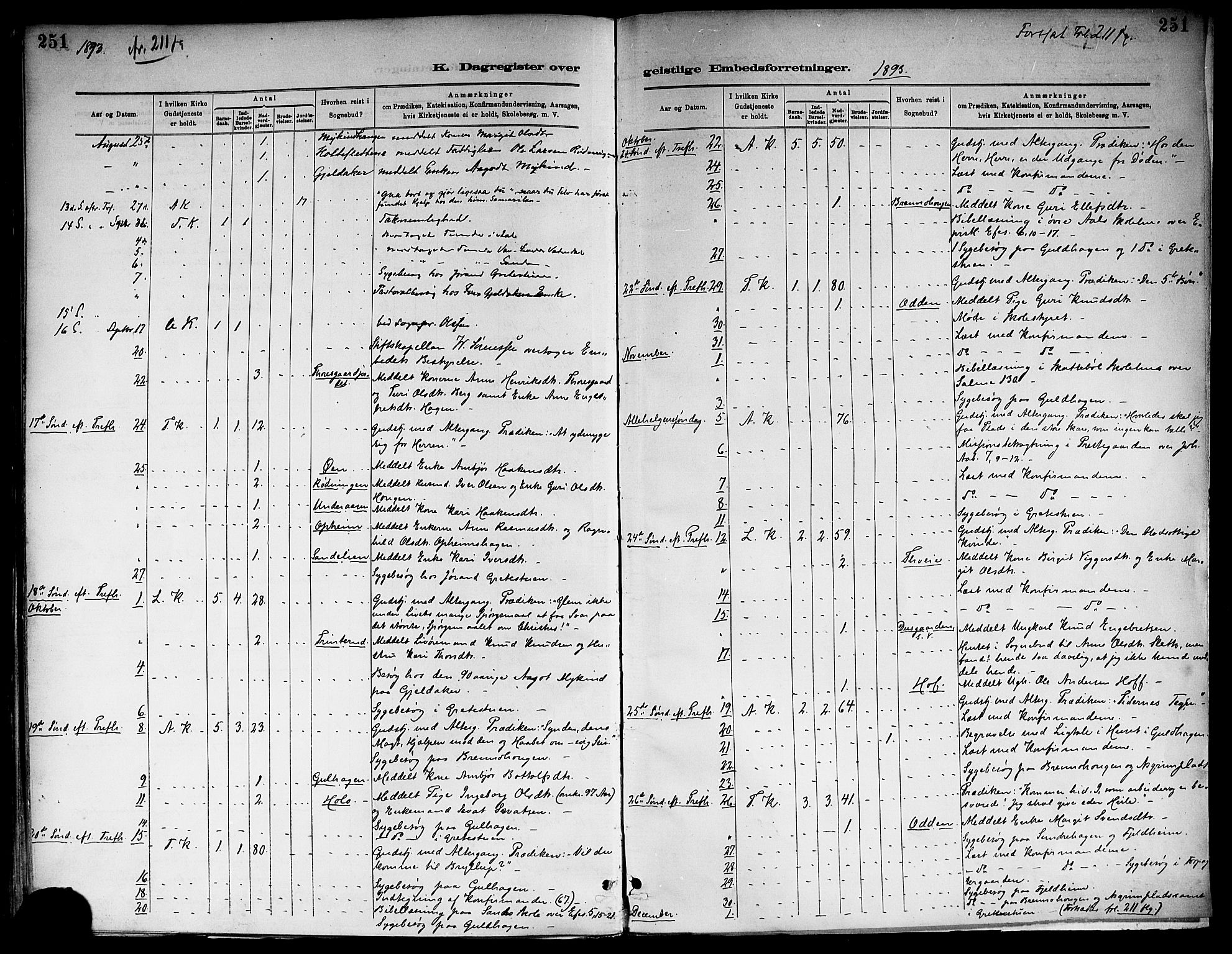 Ål kirkebøker, SAKO/A-249/F/Fa/L0008: Parish register (official) no. I 8, 1882-1896, p. 251