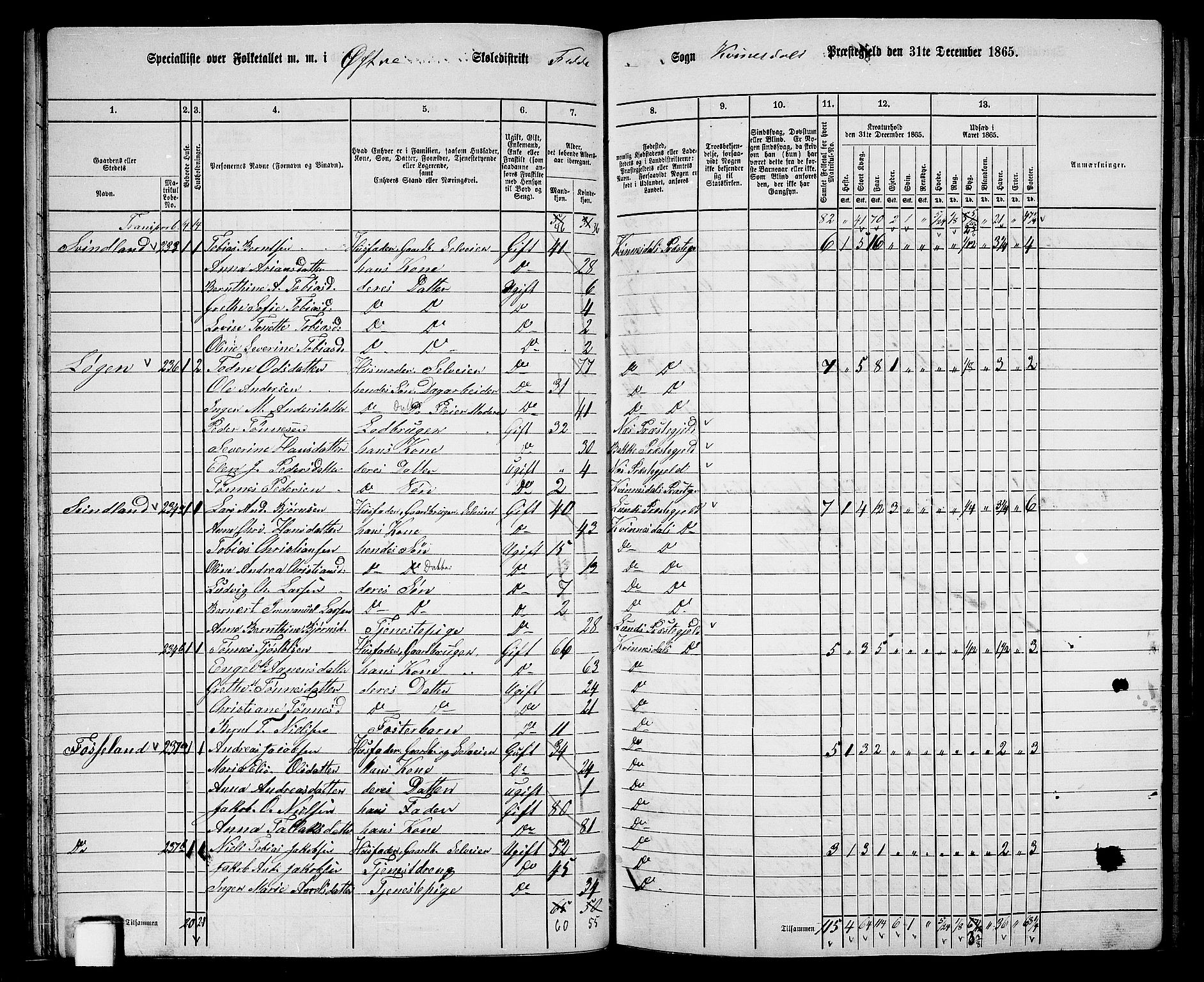 RA, 1865 census for Kvinesdal, 1865, p. 60