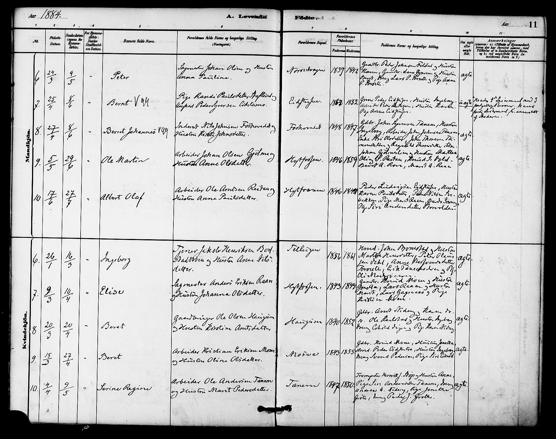 Ministerialprotokoller, klokkerbøker og fødselsregistre - Sør-Trøndelag, SAT/A-1456/618/L0444: Parish register (official) no. 618A07, 1880-1898, p. 11
