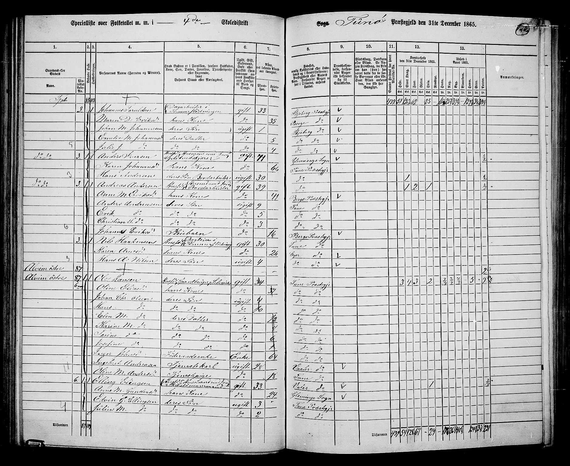 RA, 1865 census for Tune, 1865, p. 115