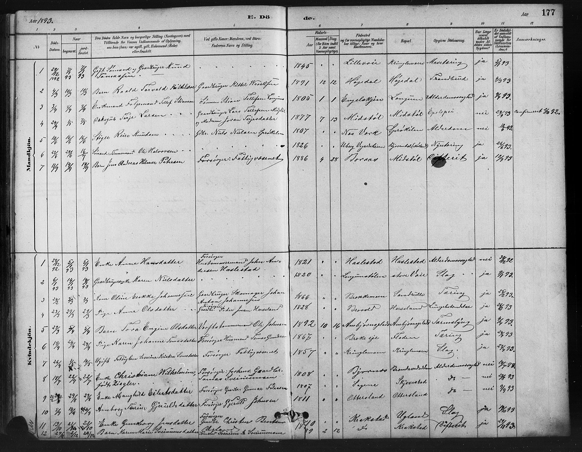 Austre Moland sokneprestkontor, SAK/1111-0001/F/Fb/Fba/L0003: Parish register (copy) no. B 3, 1879-1914, p. 177