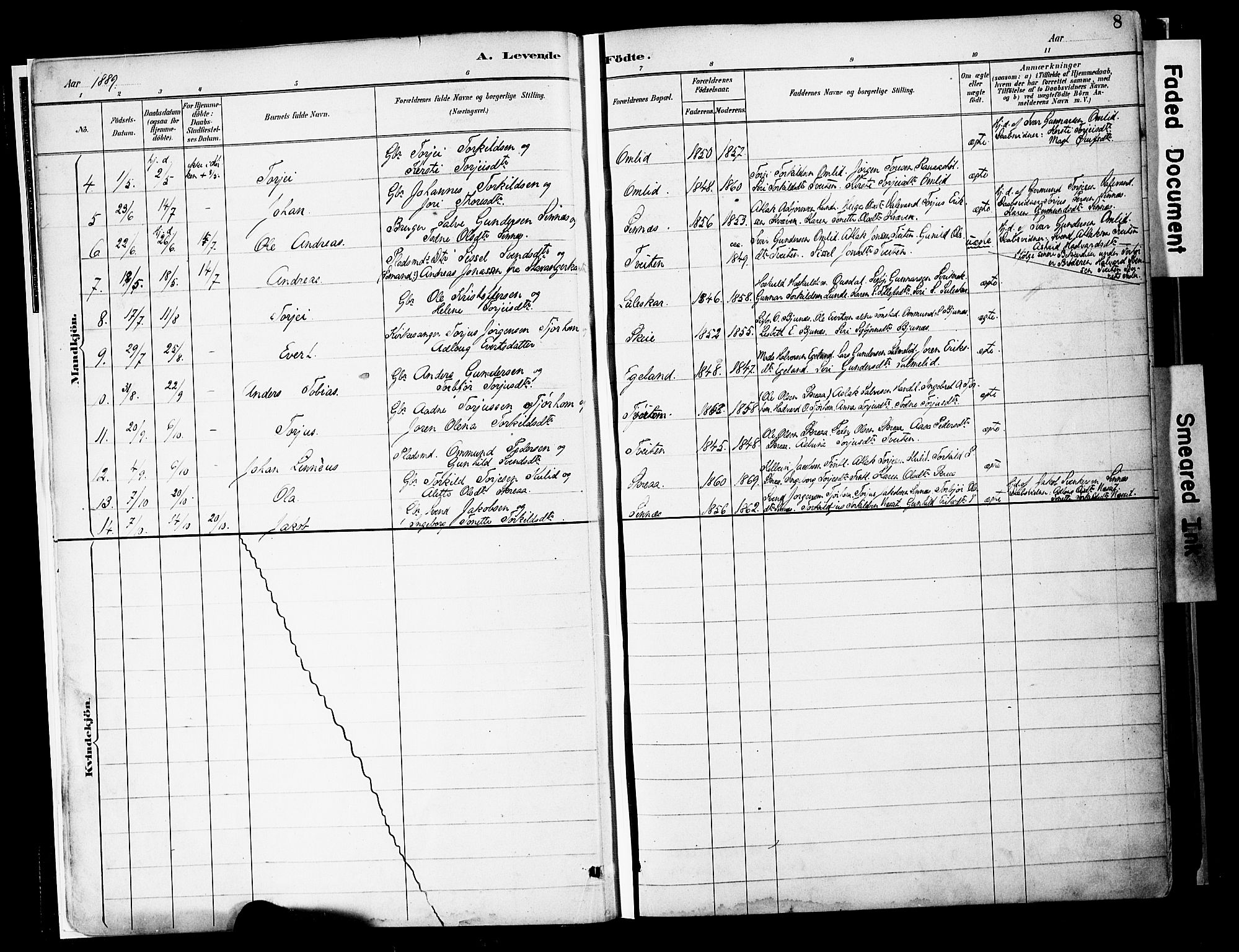 Sirdal sokneprestkontor, AV/SAK-1111-0036/F/Fa/Faa/L0001: Parish register (official) no. A 1, 1887-1910, p. 8