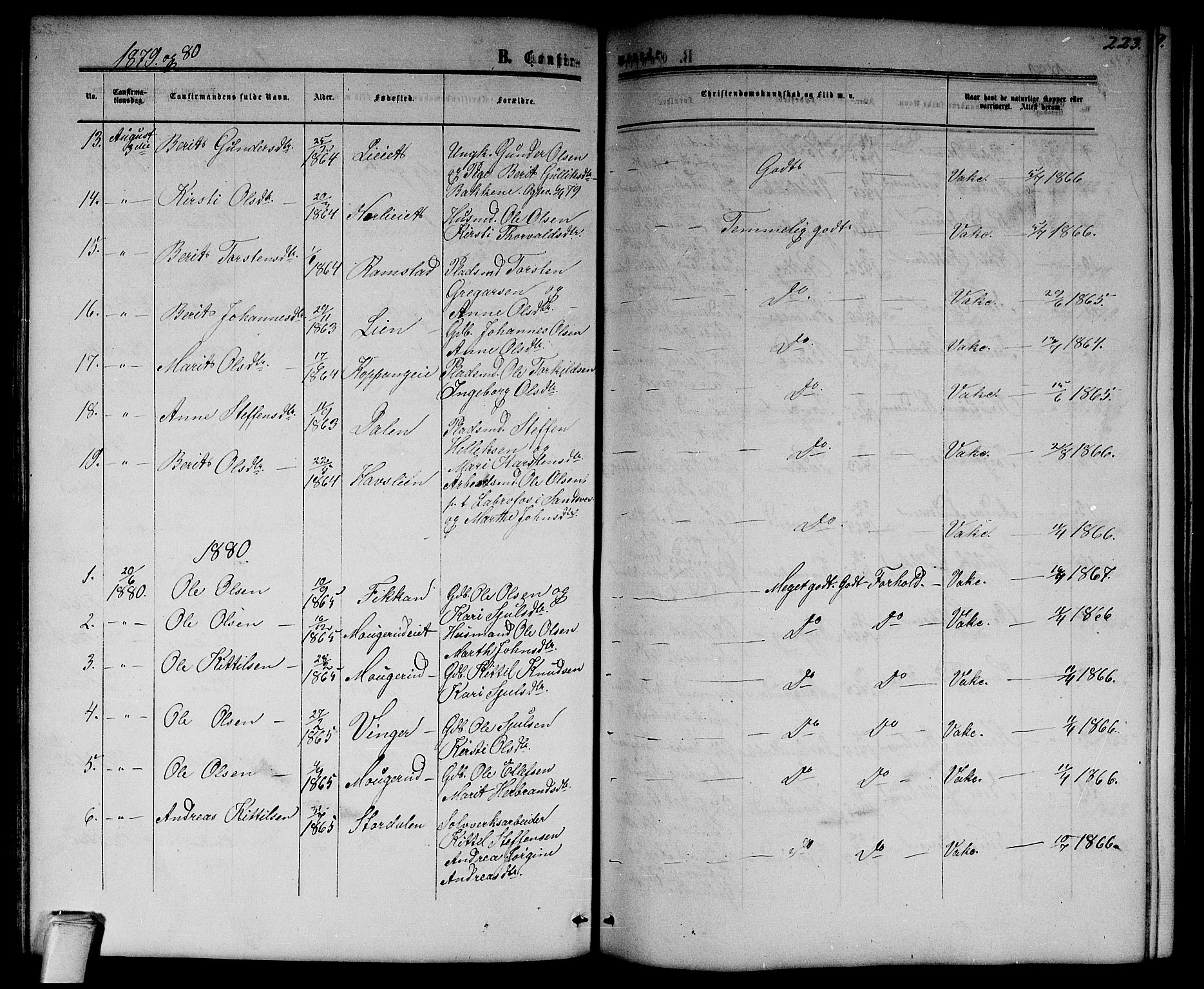 Flesberg kirkebøker, SAKO/A-18/G/Ga/L0003: Parish register (copy) no. I 3, 1861-1889, p. 223