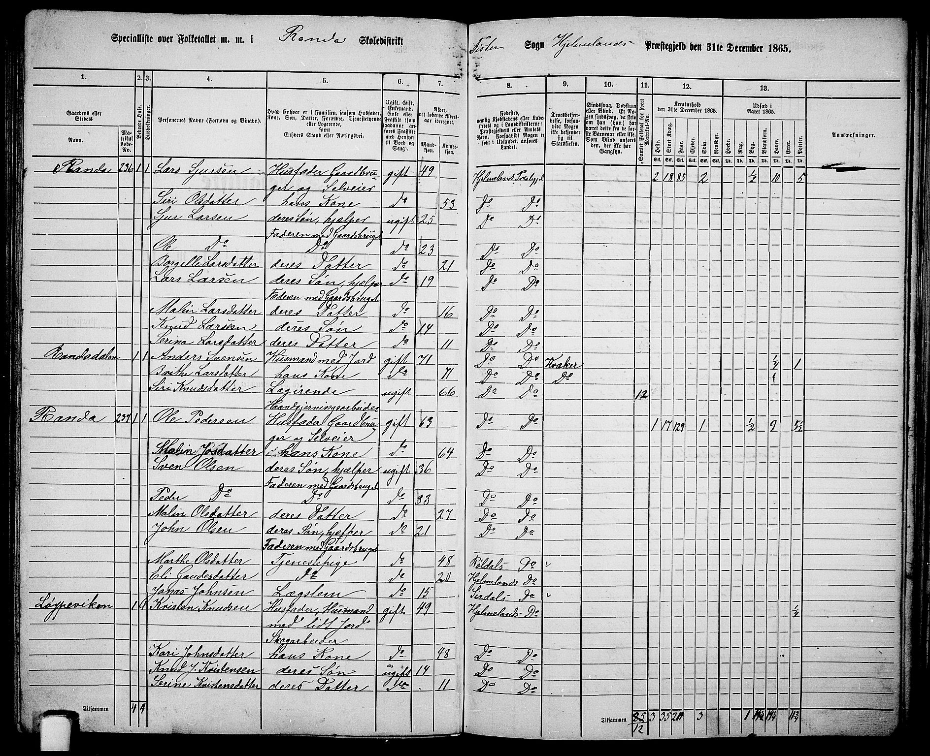 RA, 1865 census for Hjelmeland, 1865, p. 141