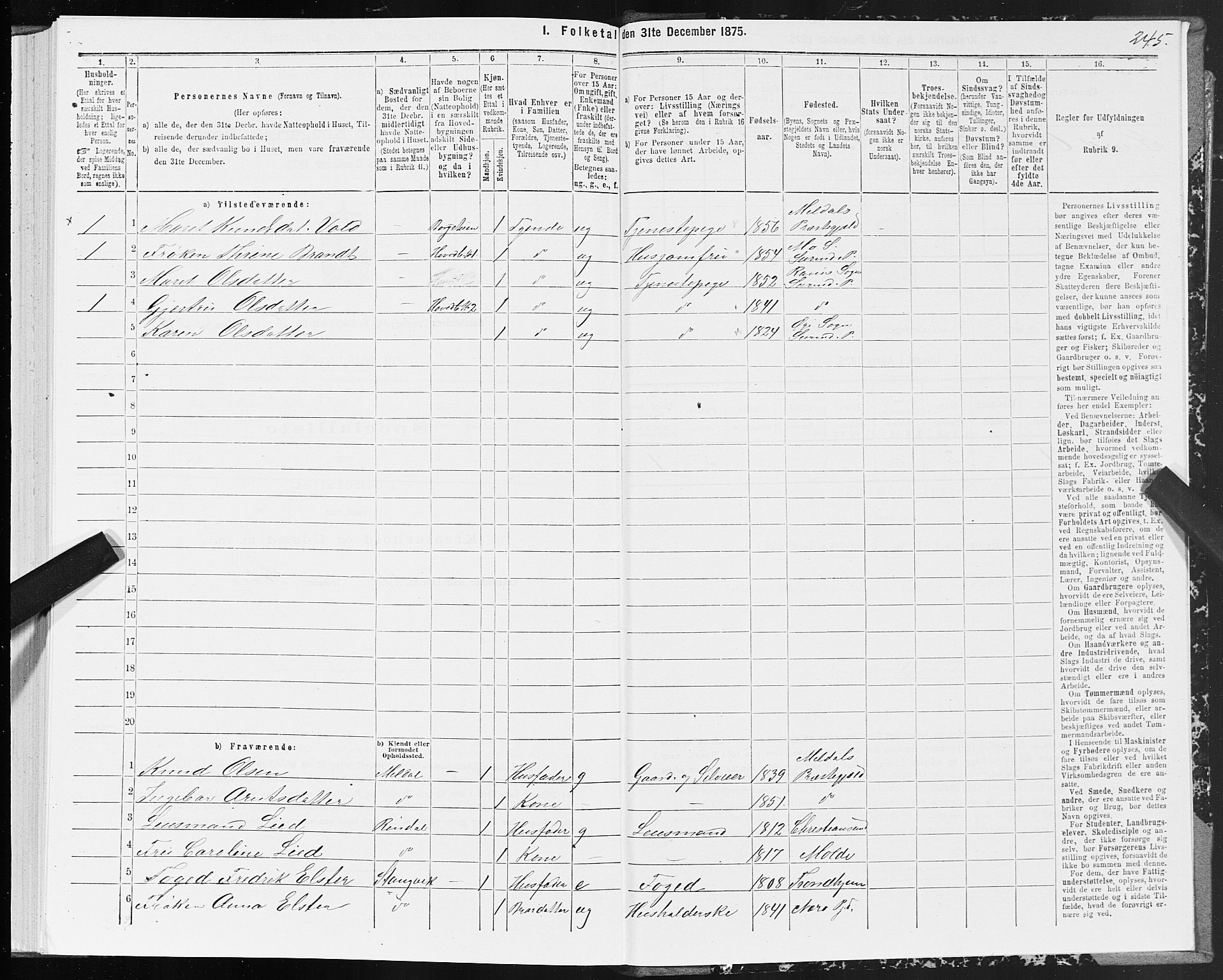 SAT, 1875 census for 1566P Surnadal, 1875, p. 2245