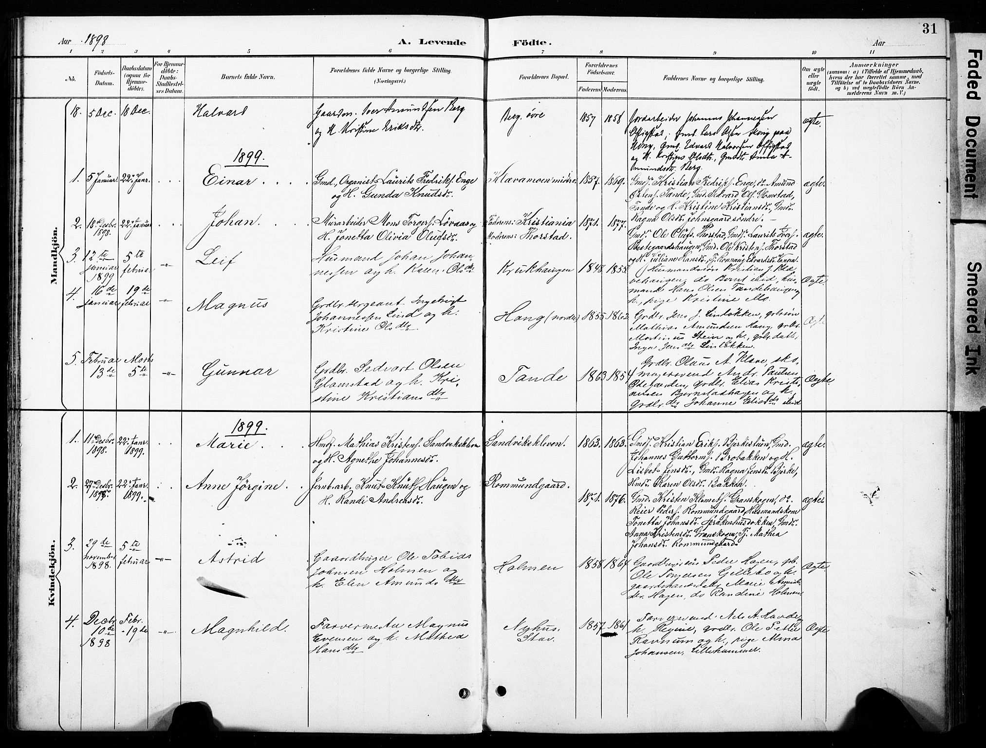 Øyer prestekontor, SAH/PREST-084/H/Ha/Haa/L0011: Parish register (official) no. 11, 1894-1905, p. 31