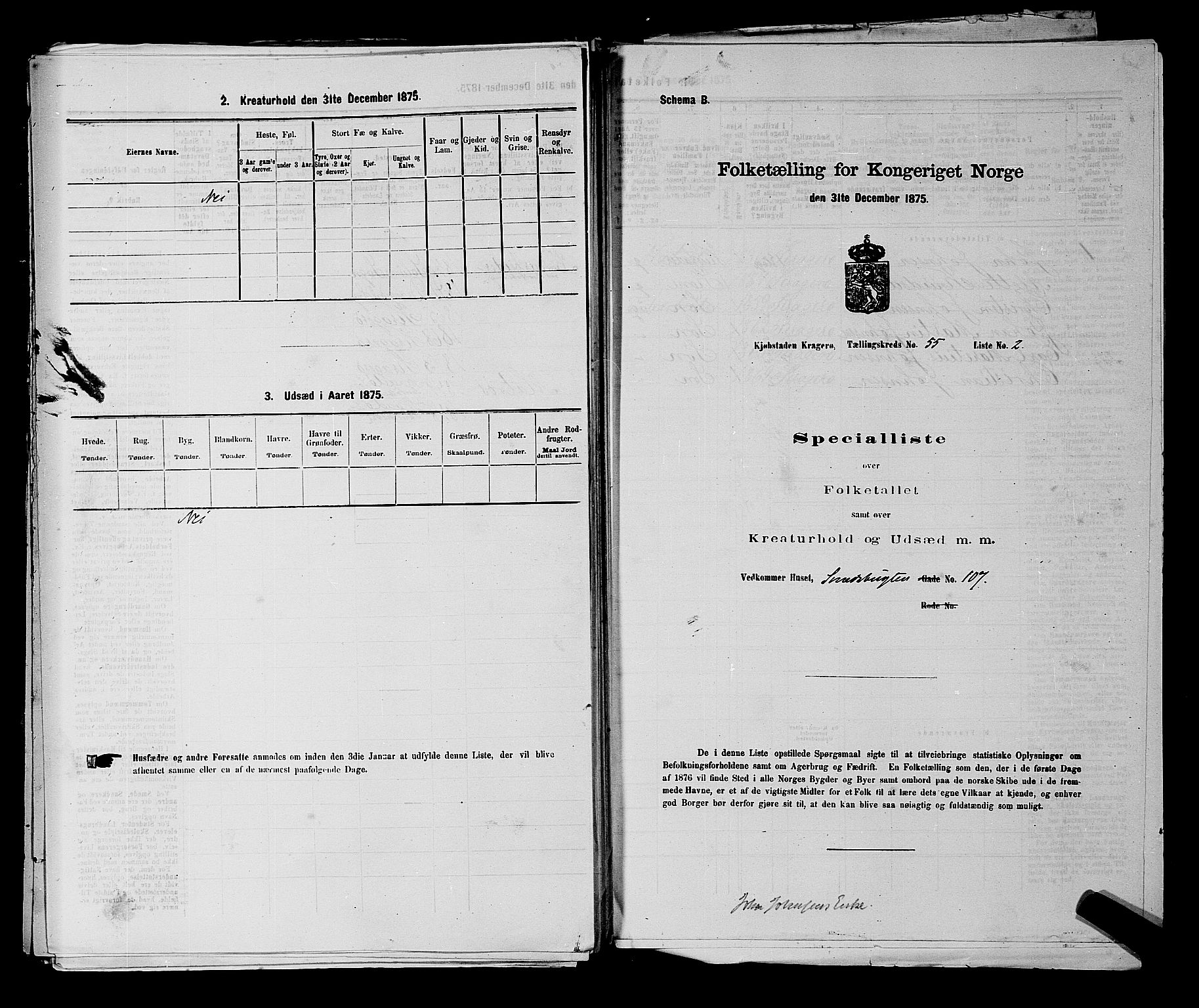 SAKO, 1875 census for 0801P Kragerø, 1875, p. 1211