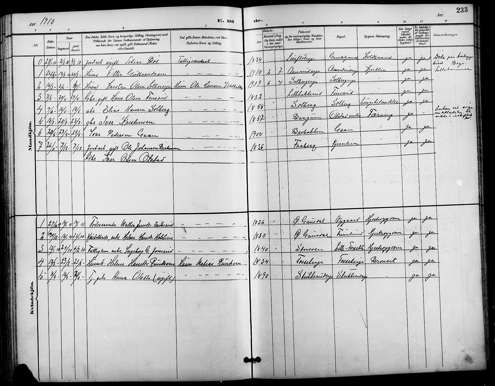 Vestre Gausdal prestekontor, SAH/PREST-094/H/Ha/Hab/L0003: Parish register (copy) no. 3, 1896-1925, p. 233
