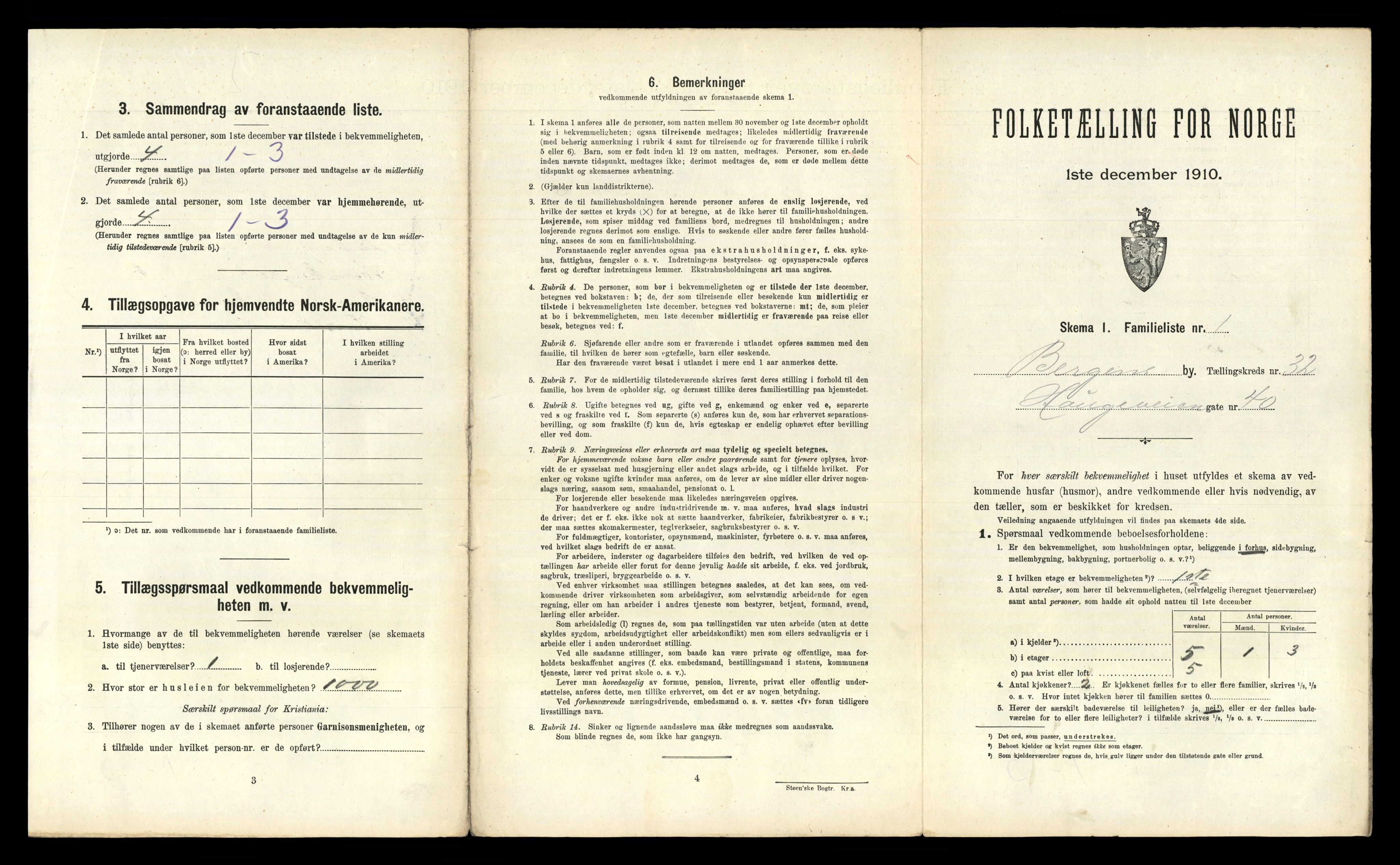 RA, 1910 census for Bergen, 1910, p. 10905