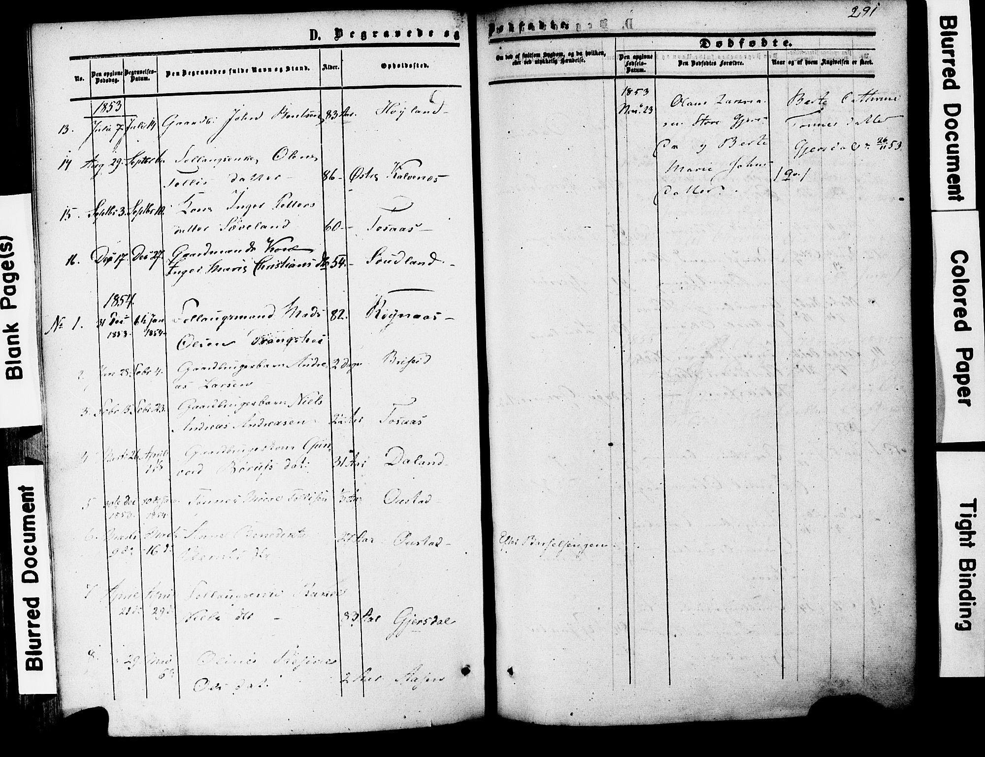 Herad sokneprestkontor, SAK/1111-0018/F/Fa/Faa/L0005: Parish register (official) no. A 5, 1853-1886, p. 291